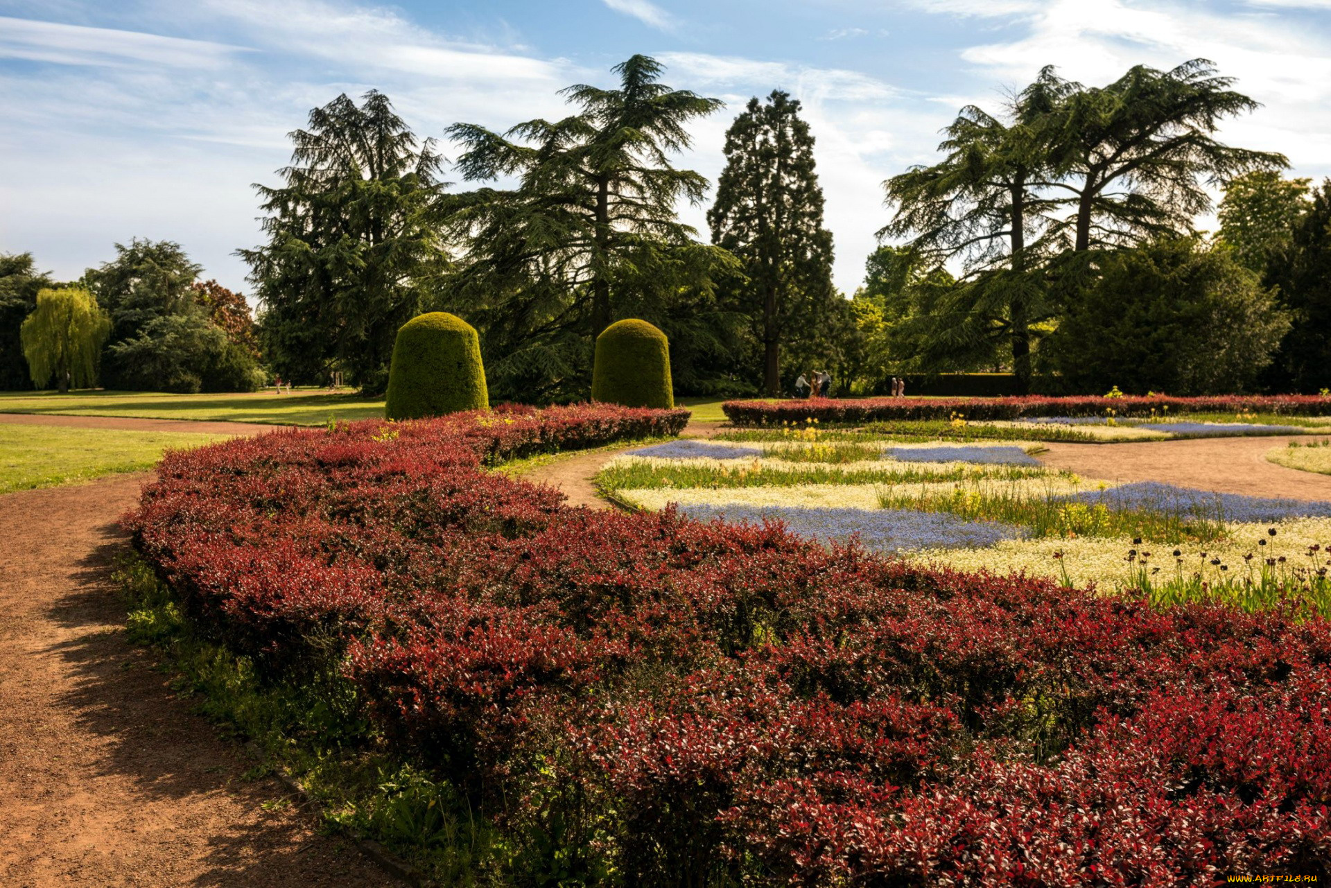 природа, парк, клумбы