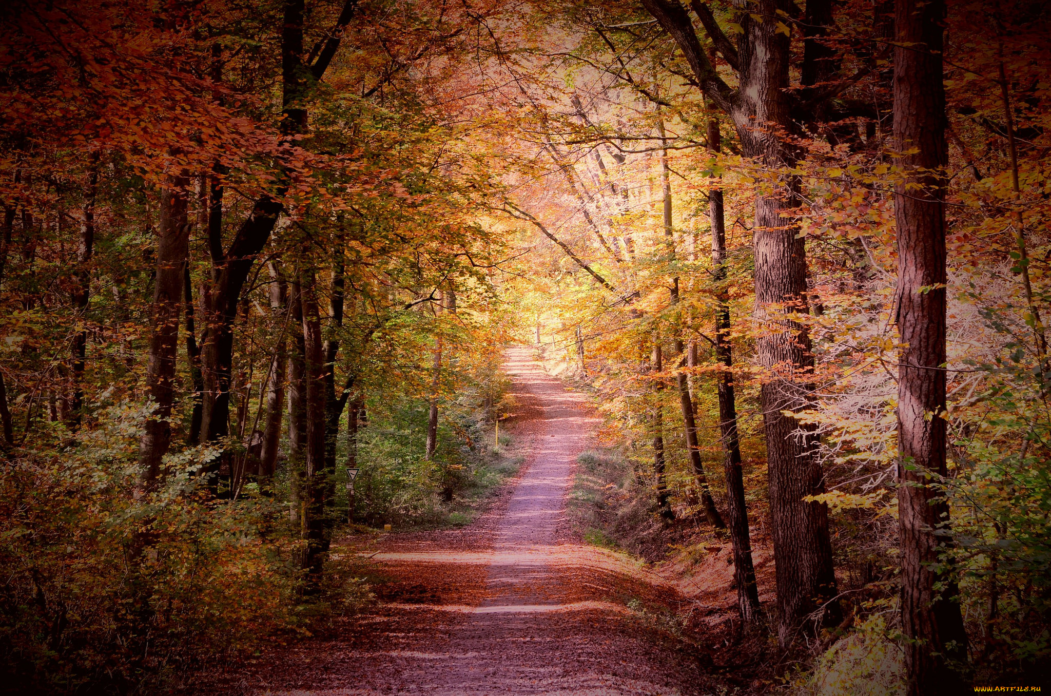 природа, дороги, простор