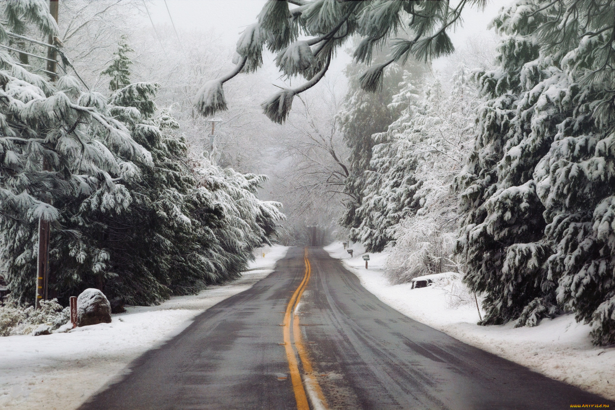 природа, дороги, простор