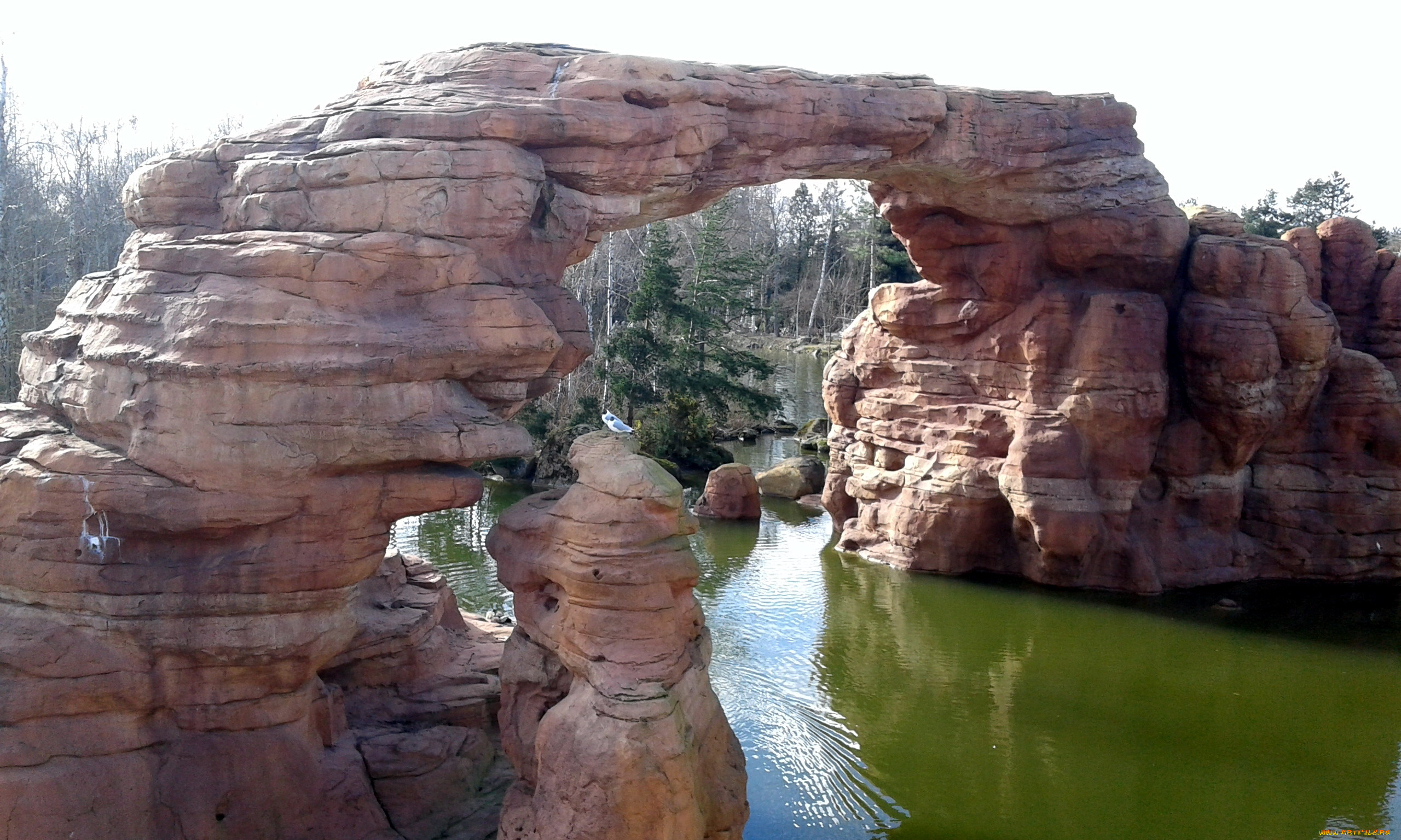 природа, реки, озера, река, скалы