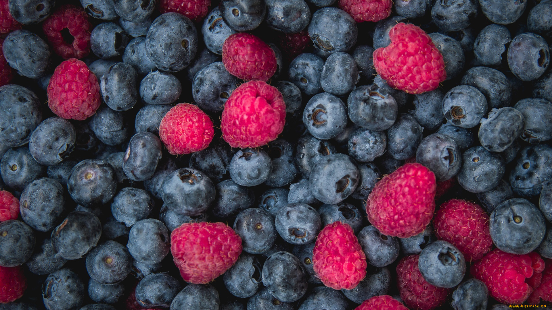 еда, голубика, , черника, ягоды, малина