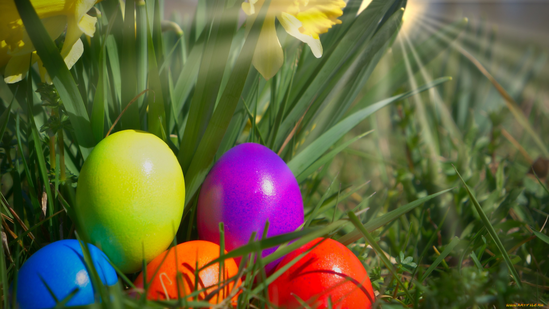 праздничные, пасха, трава, разноцветные, яйца