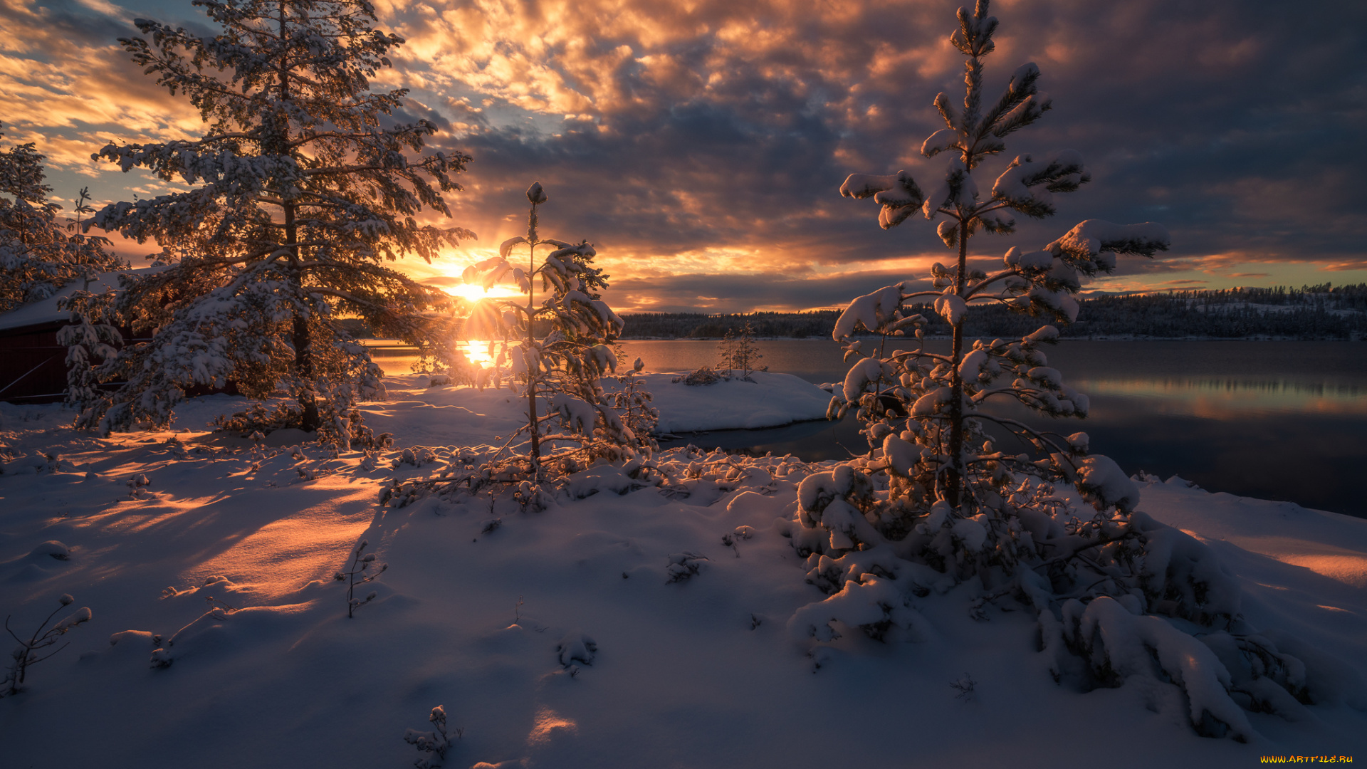 природа, зима, простор