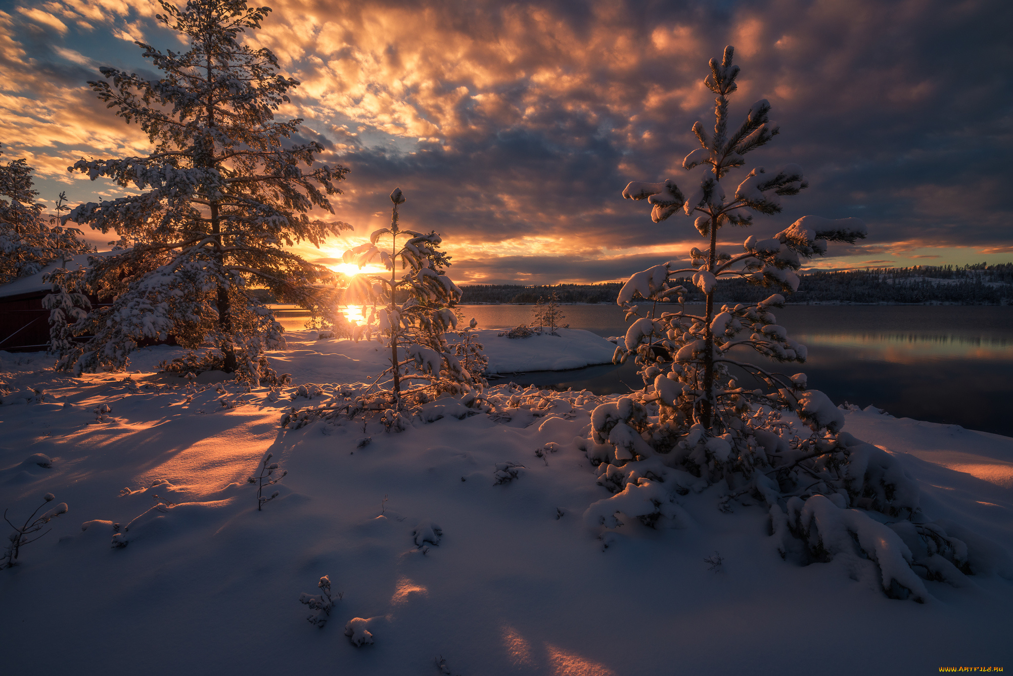 природа, зима, простор