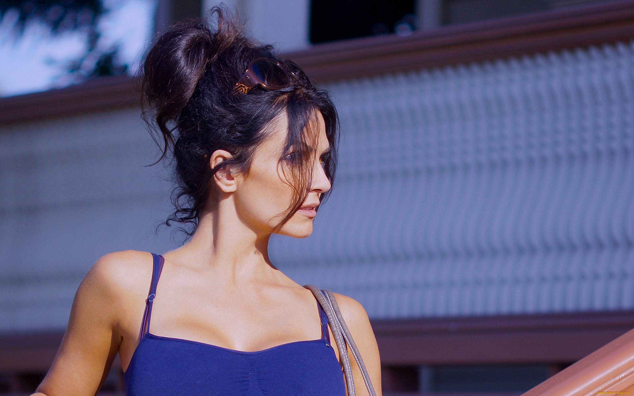 девушки, denise, milani, прядь, топ, брюнетка