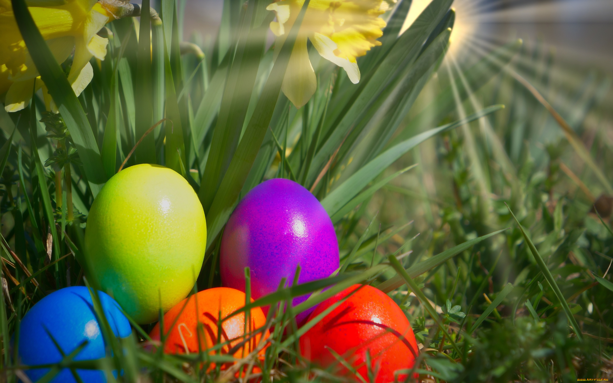 праздничные, пасха, трава, разноцветные, яйца