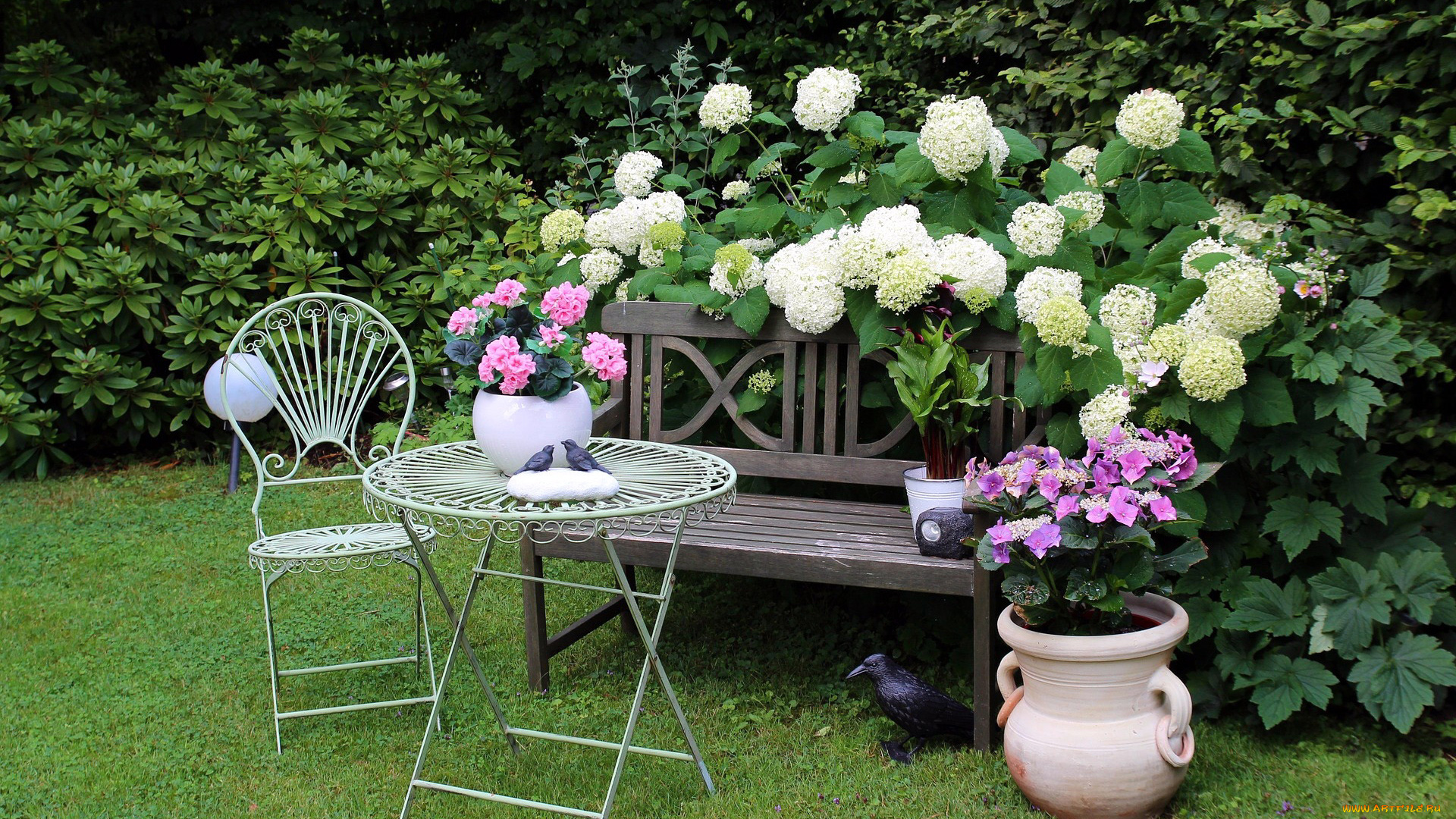 цветы, скамейка