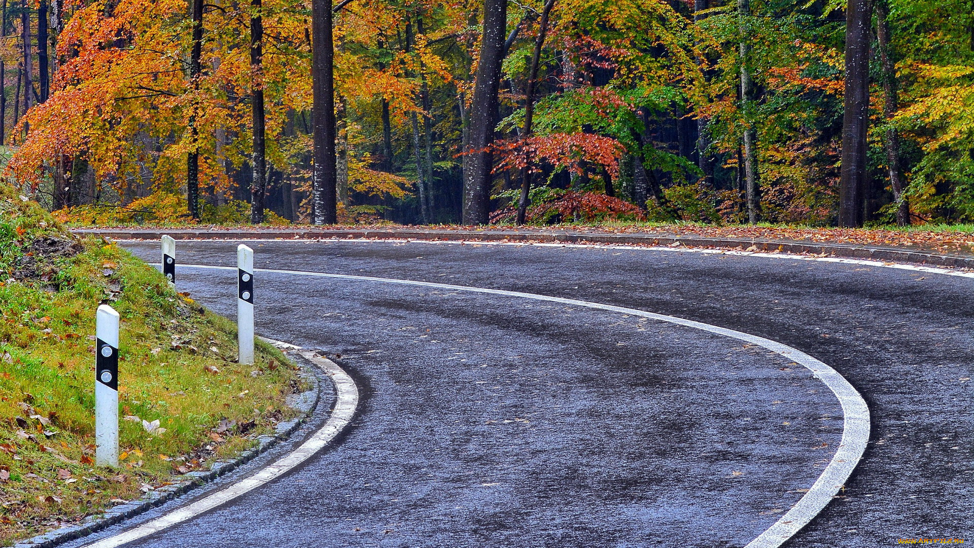 природа, дороги, шоссе