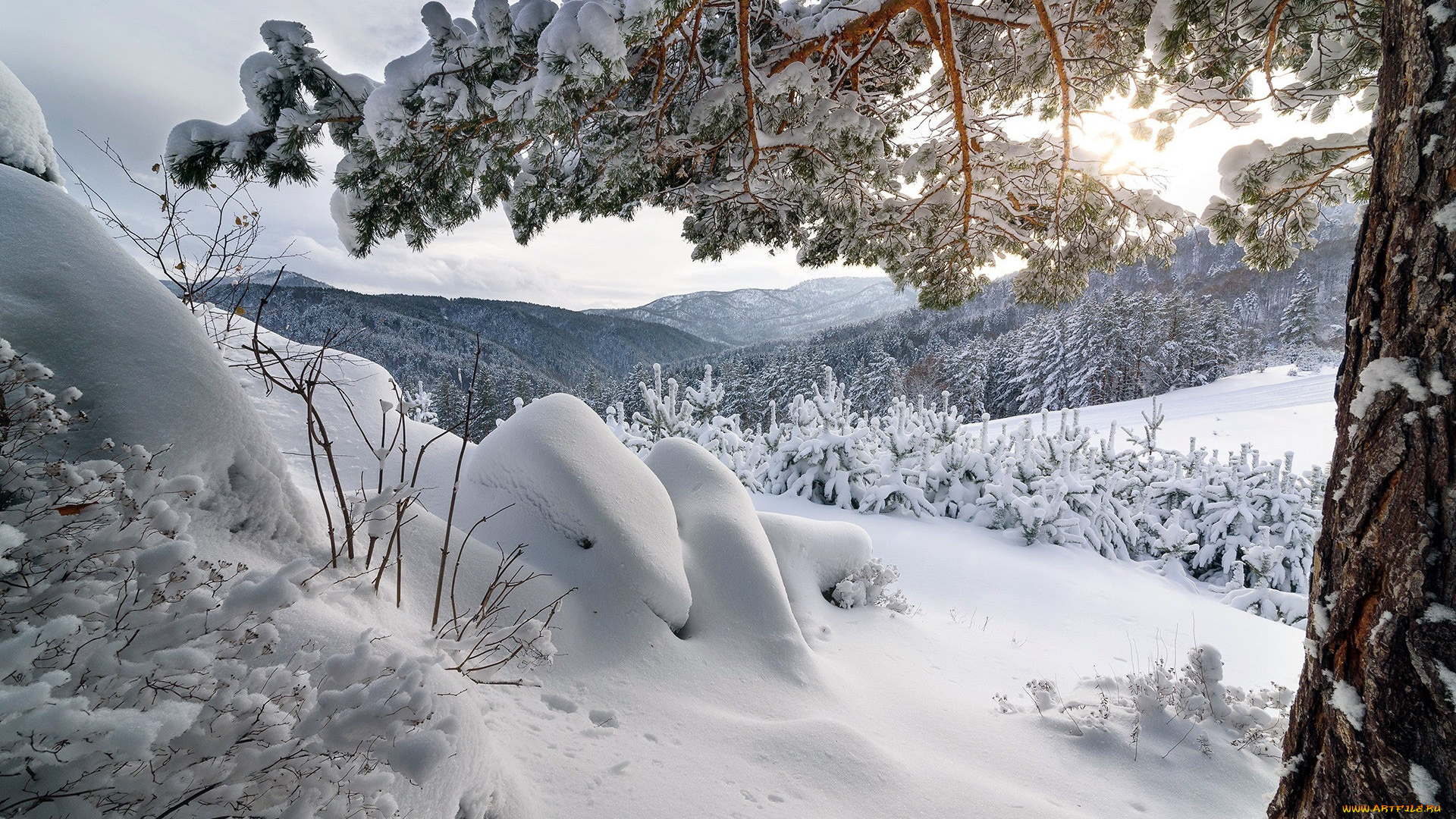 природа, горы, снег, зима, сугробы