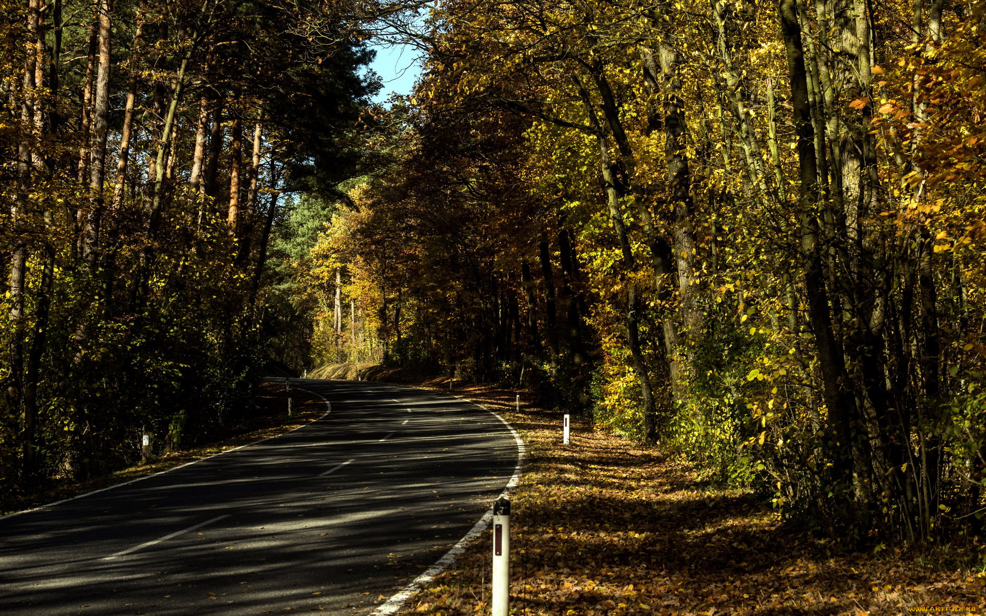 природа, дороги, шоссе