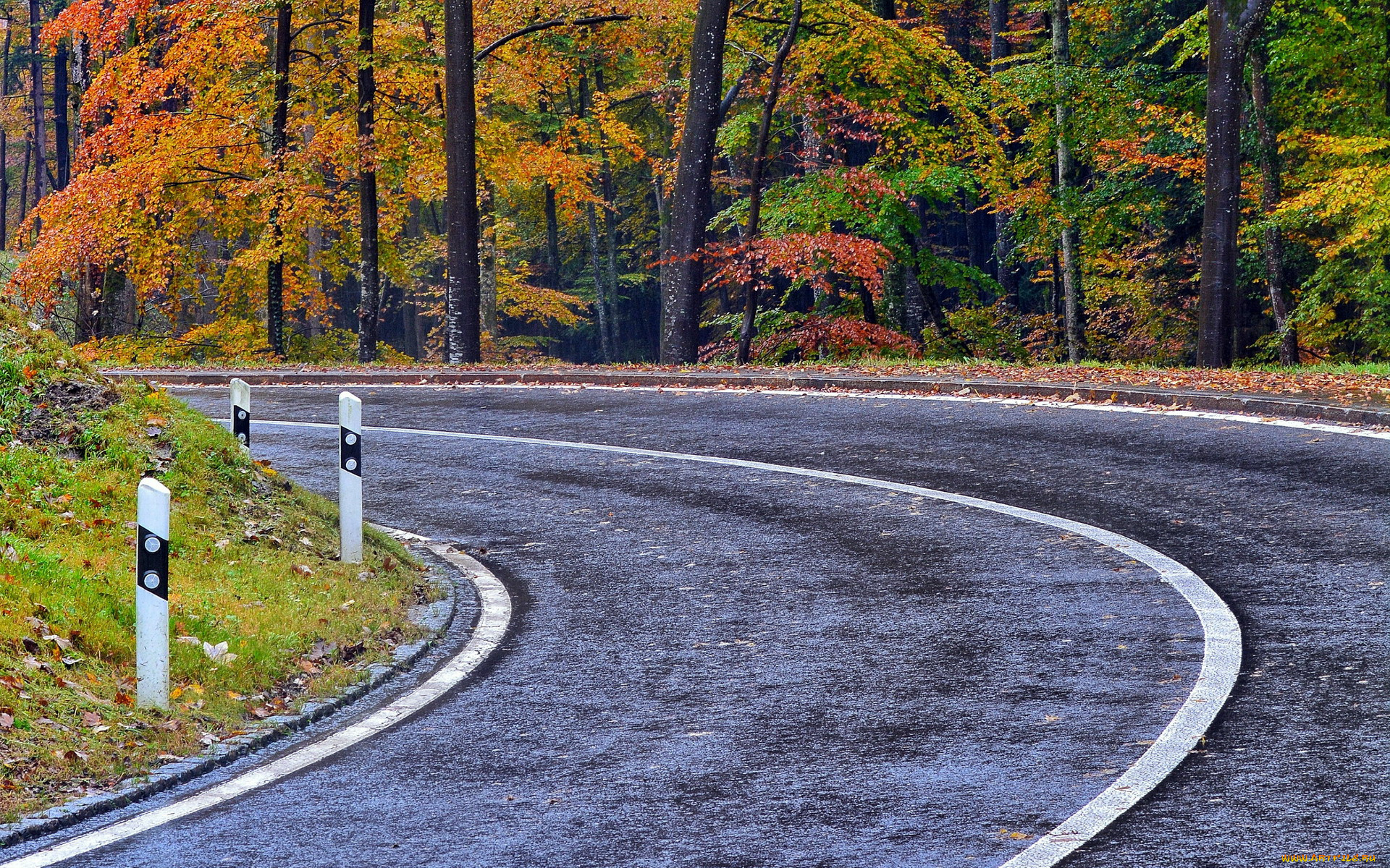 природа, дороги, шоссе