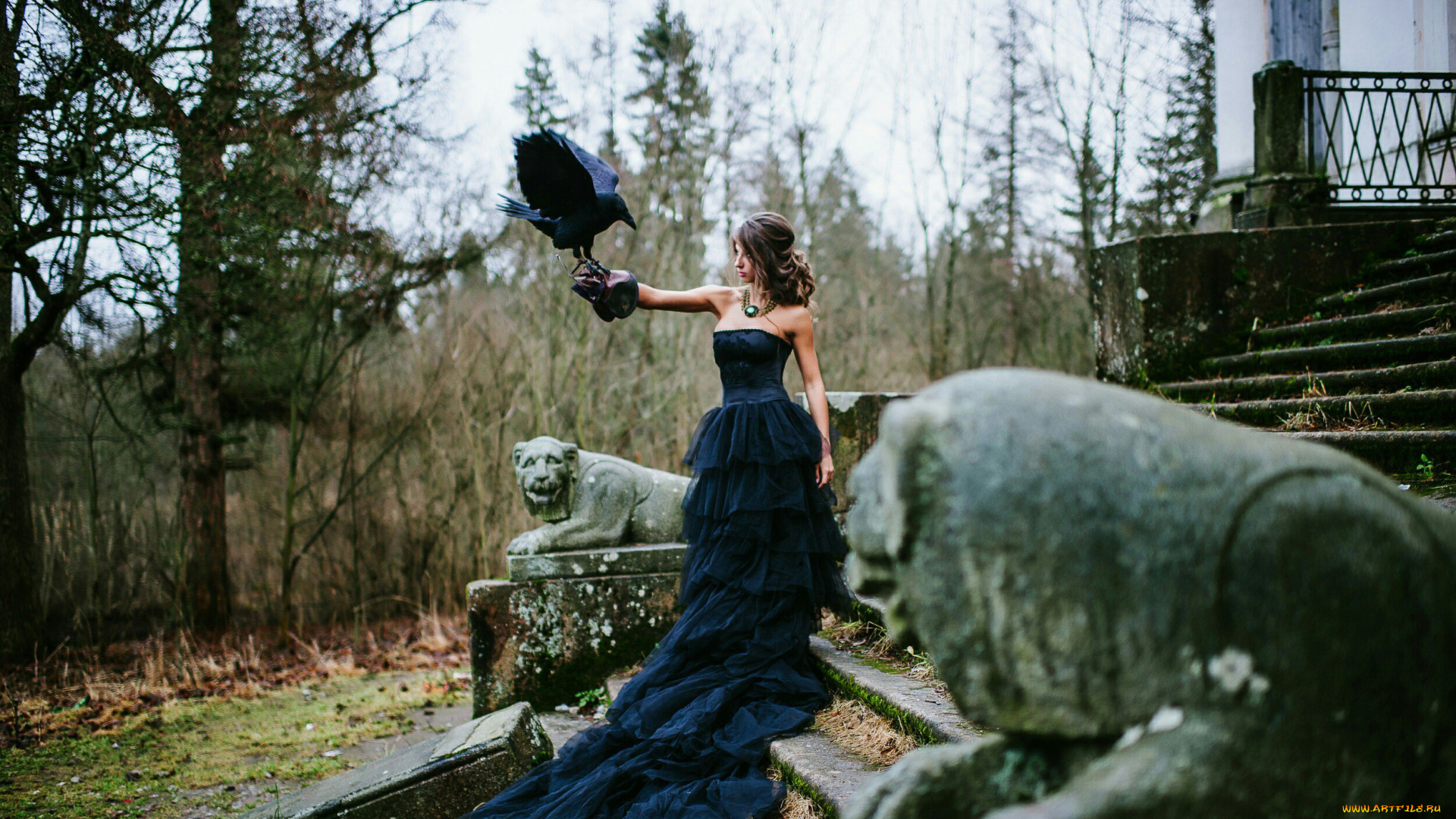 девушки, дарья, куварзина, , daria, shy, дарья, куварзина, daria, shy