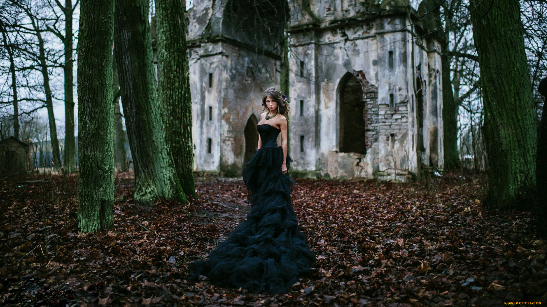 девушки, дарья, куварзина, , daria, shy, дарья, куварзина, daria, shy