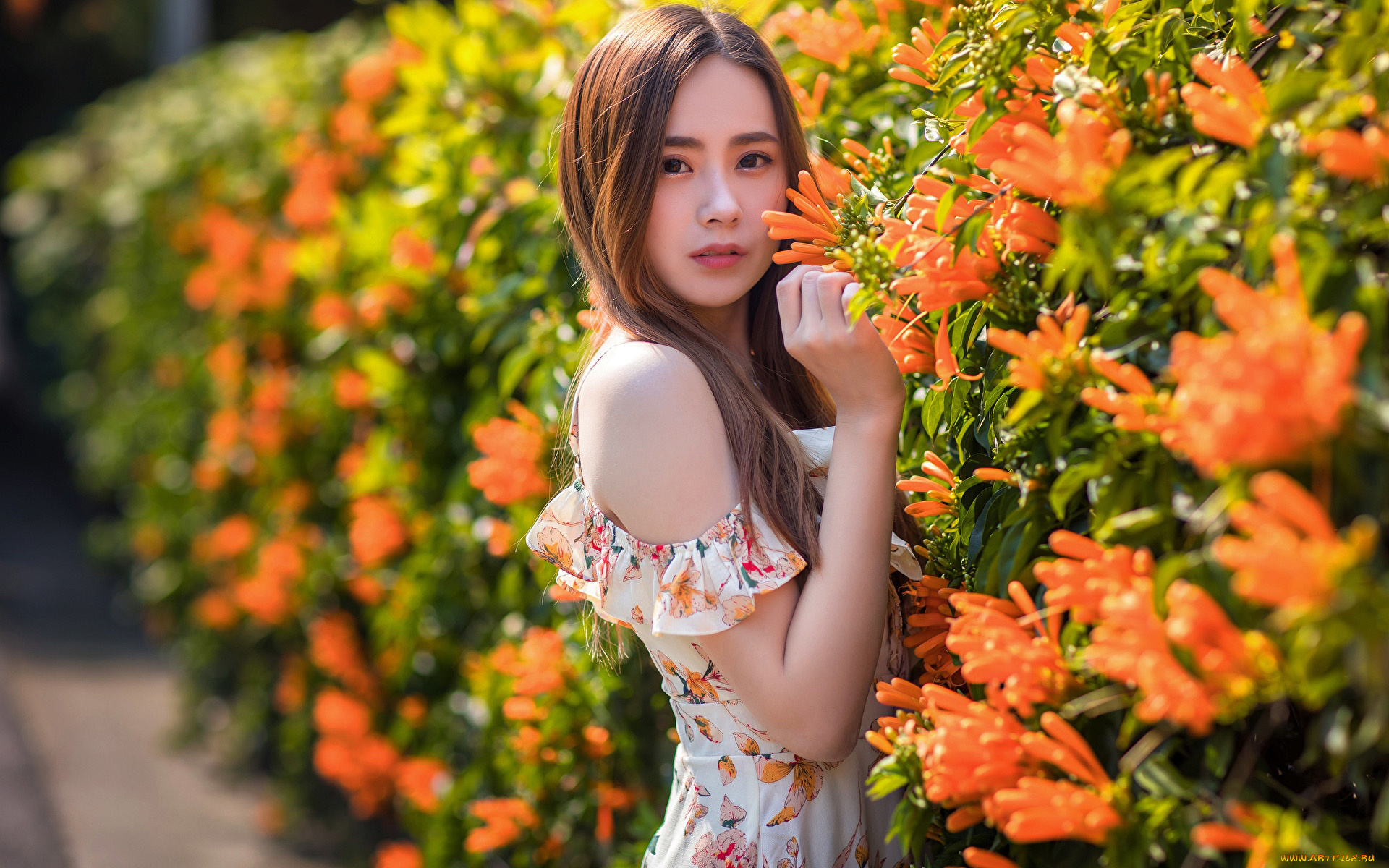 девушки, -, азиатки, цветы, азиатка, платье