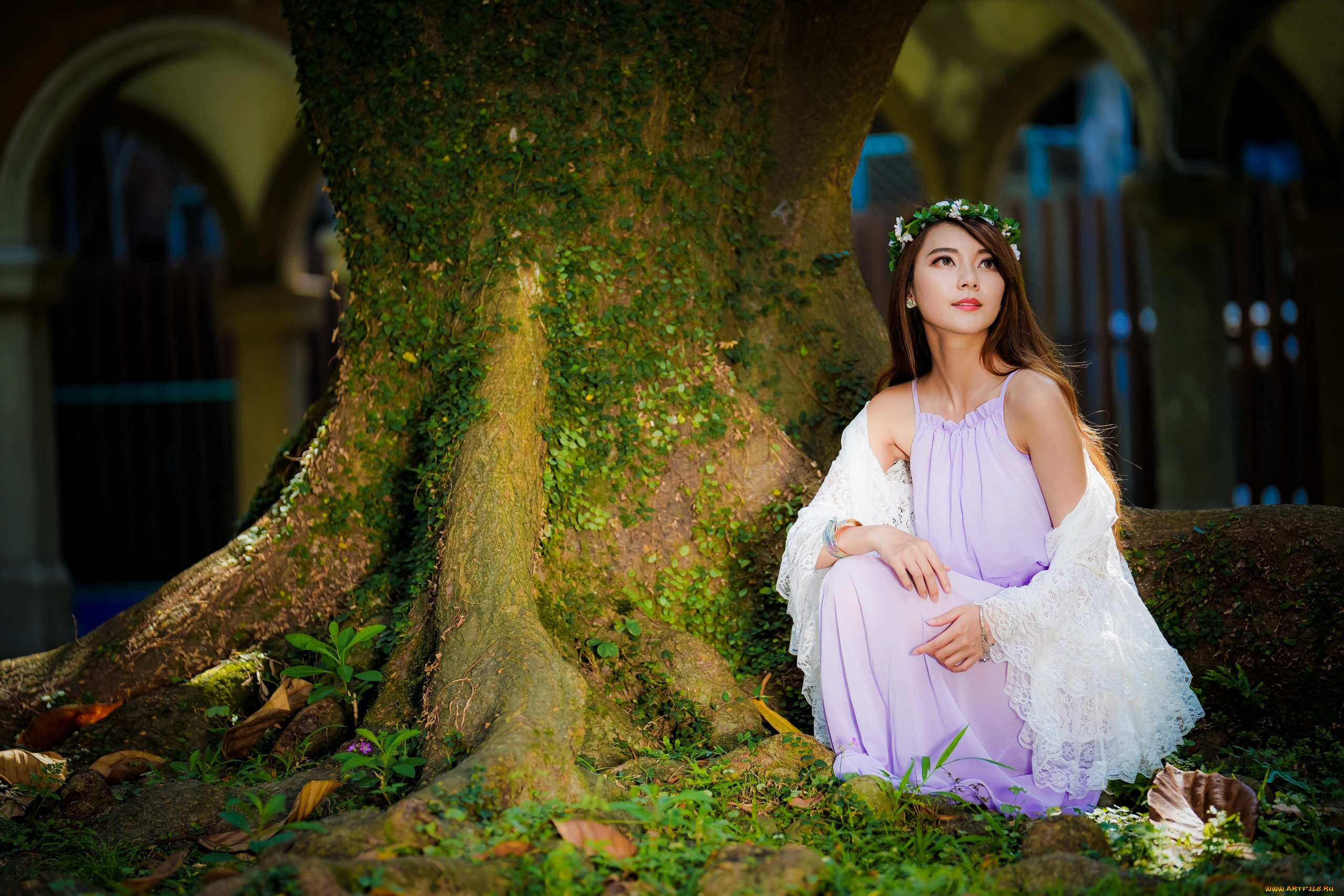 девушки, -, азиатки, дерево, азиатка, венок