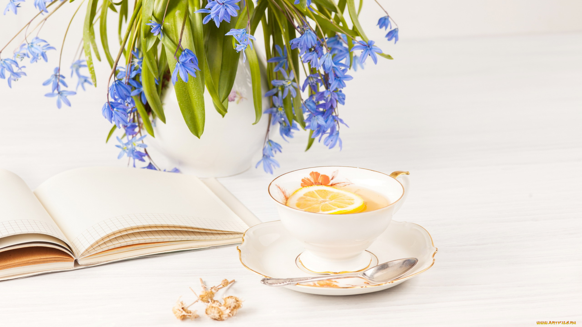еда, напитки, , чай, цветы, тетрадь, чай, лимон