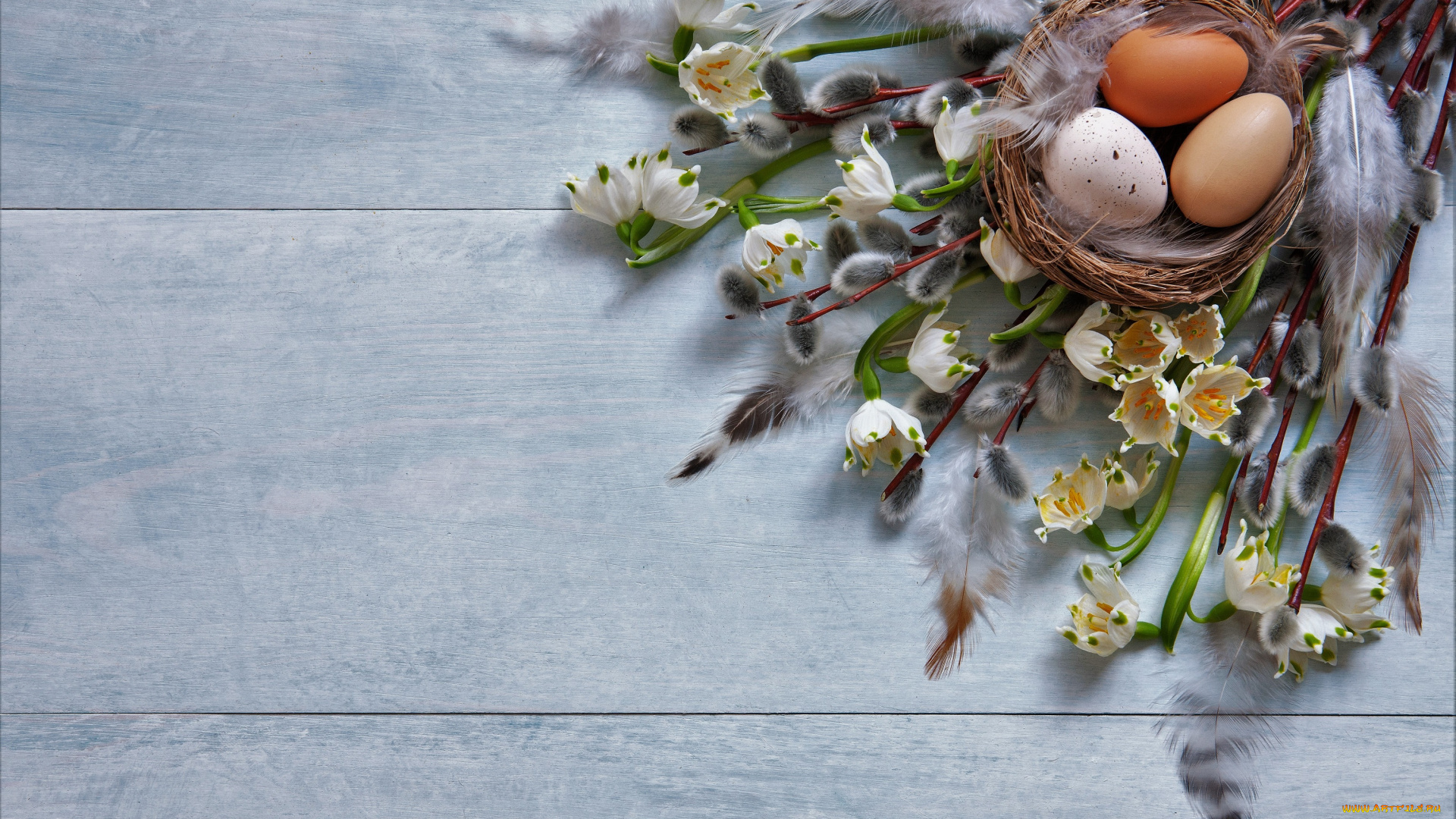 праздничные, пасха, корзина, яйца, верба, цветы