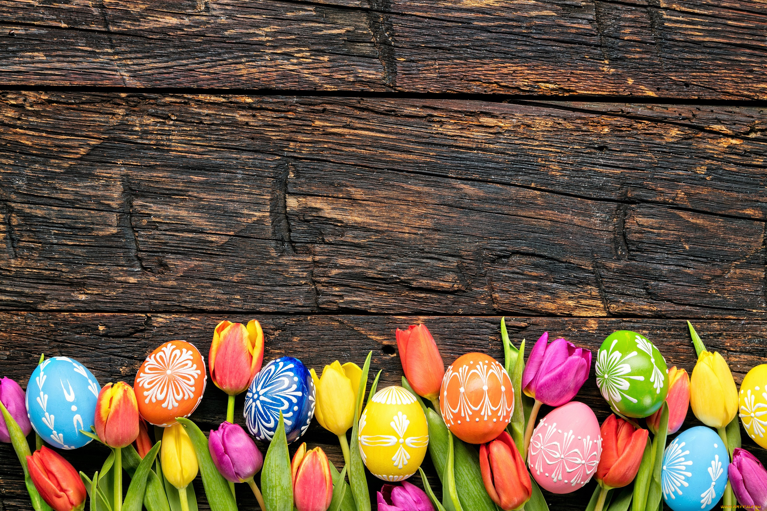 праздничные, пасха, тюльпаны, яйца