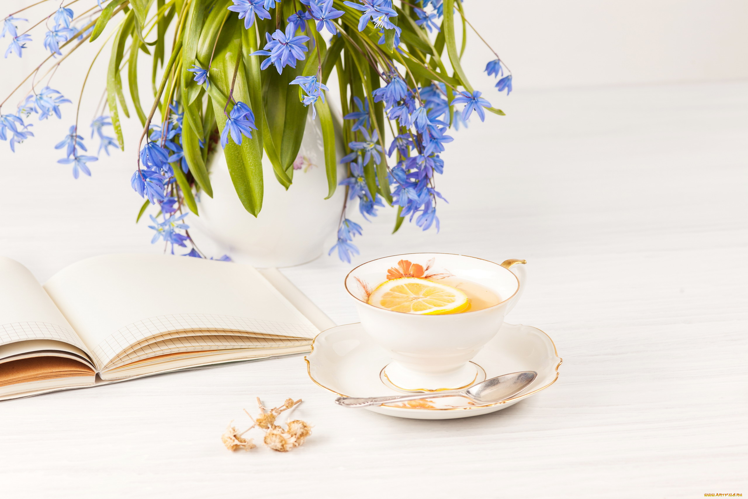 еда, напитки, , чай, цветы, тетрадь, чай, лимон