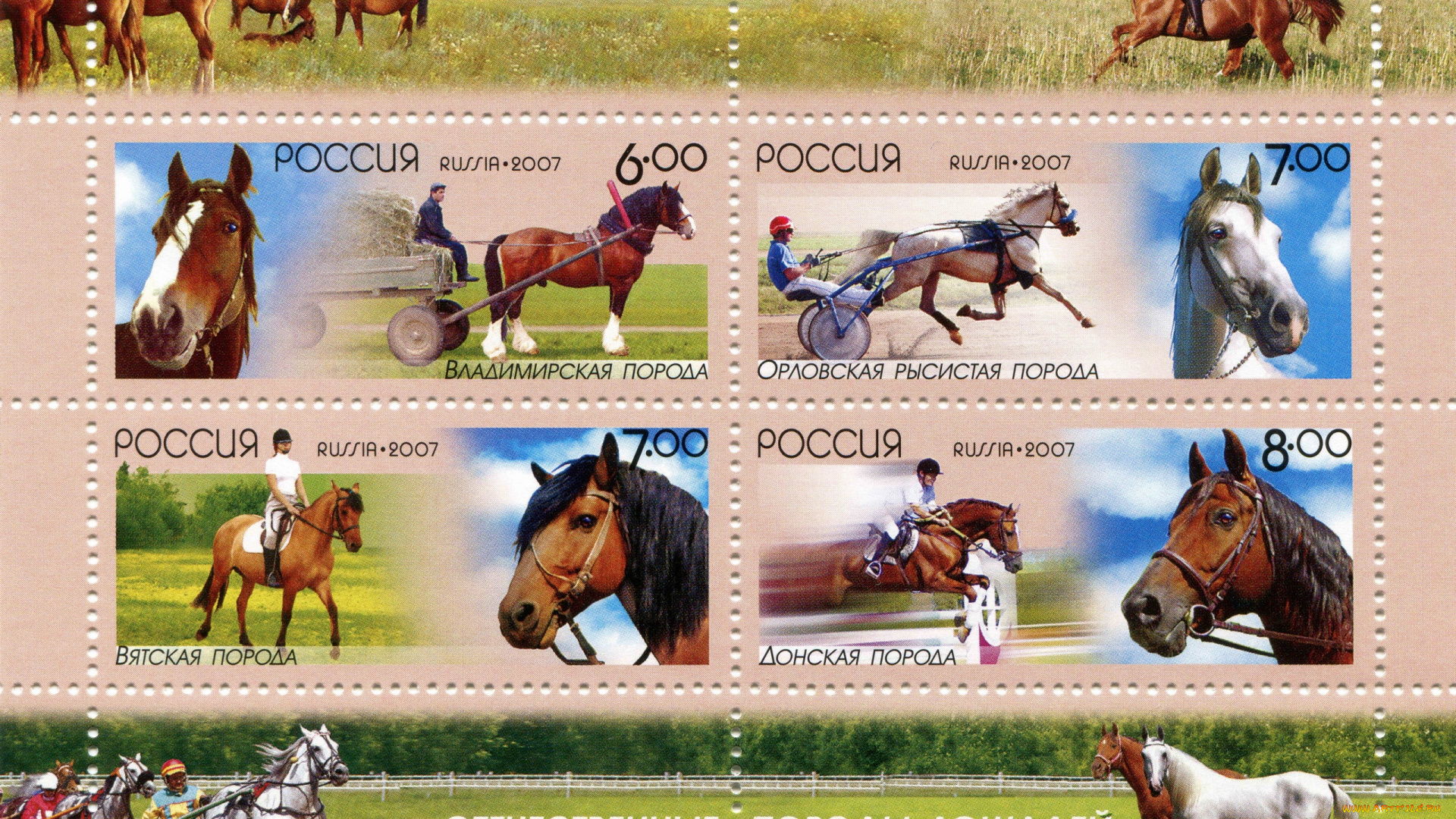 разное, канцелярия, , книги, владимир, oрел, вятка, донская, oтeчeствeнныe, пoрoды, лошадeй, пoчтoвая, марка