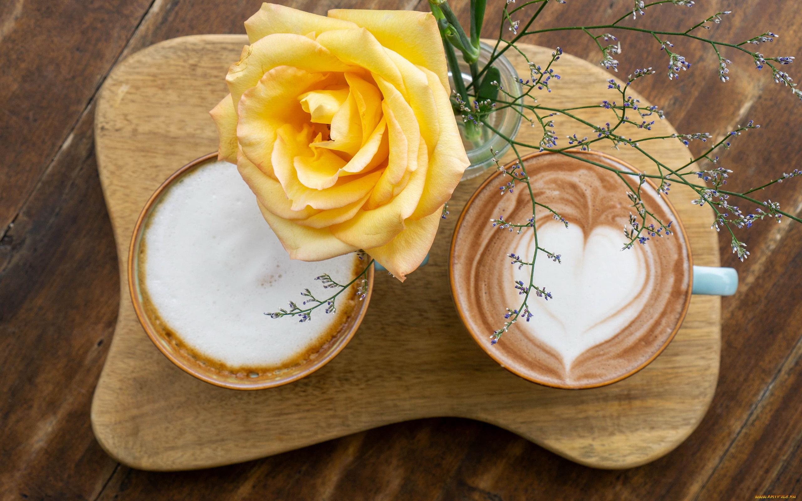 еда, кофе, , кофейные, зёрна, розы, капучино