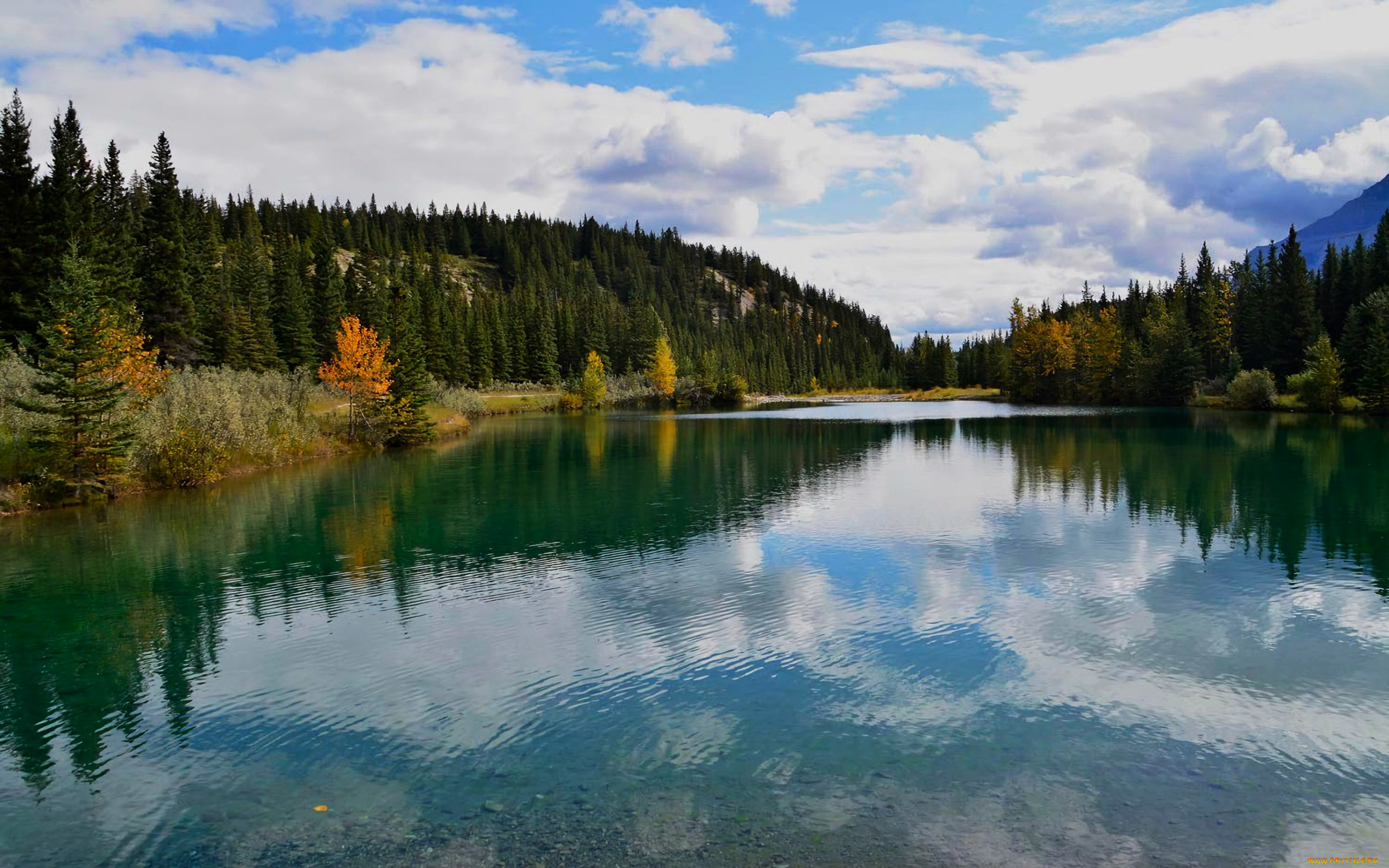 cascade, pond, banff, national, park, alberta, природа, реки, озера, cascade, pond, banff, national, park