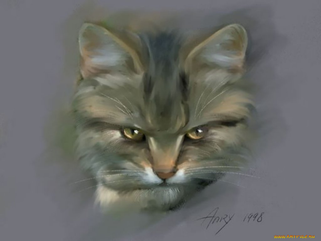 кот, рисованные, животные, коты