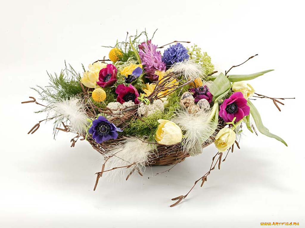 цветы, букеты, композиции