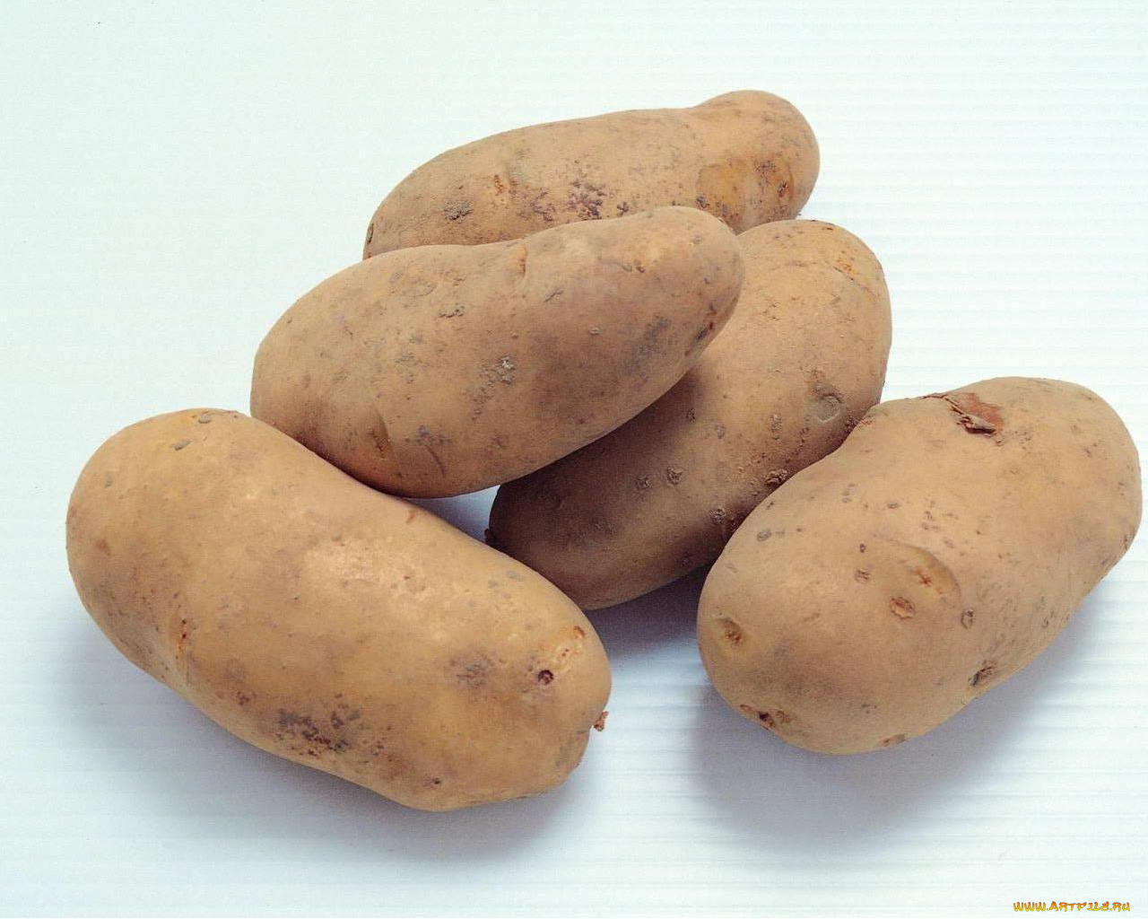 еда, картофель