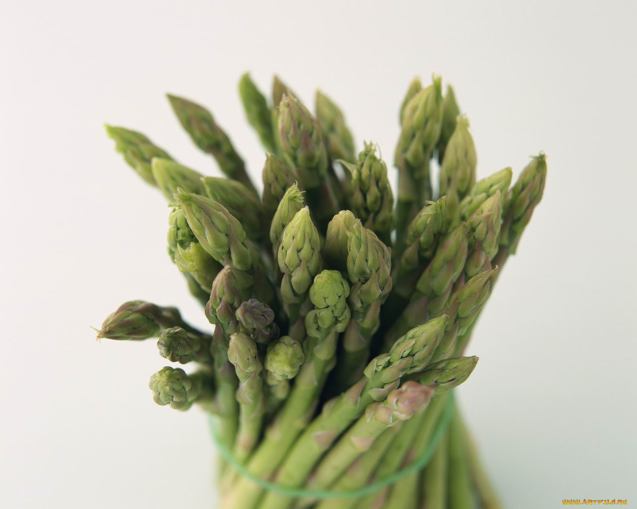 еда, спаржа