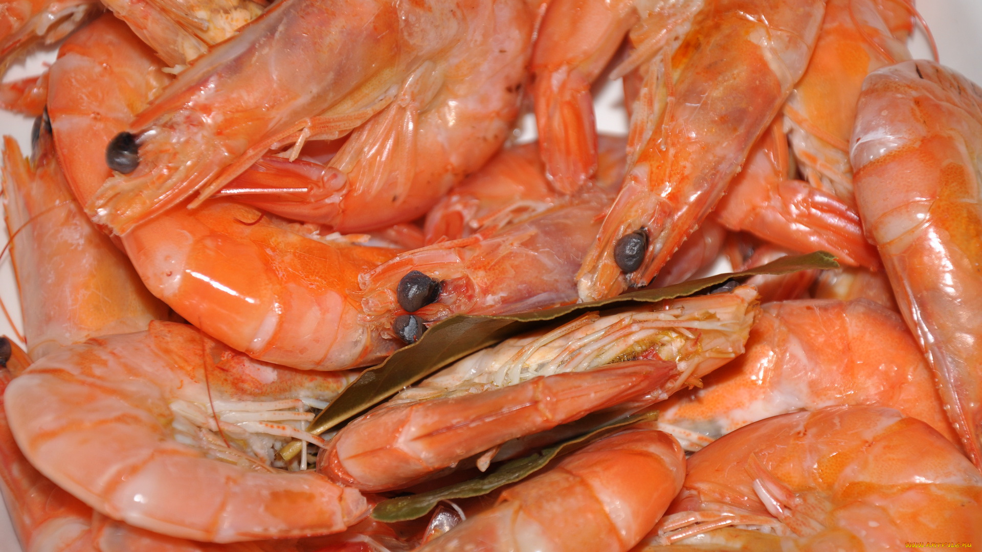 еда, рыба, морепродукты, суши, роллы