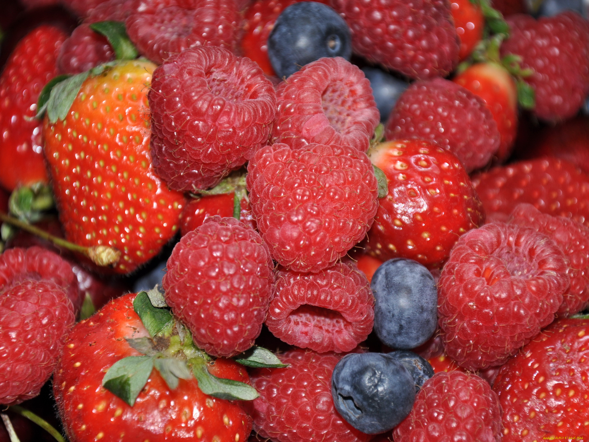 еда, фрукты, ягоды