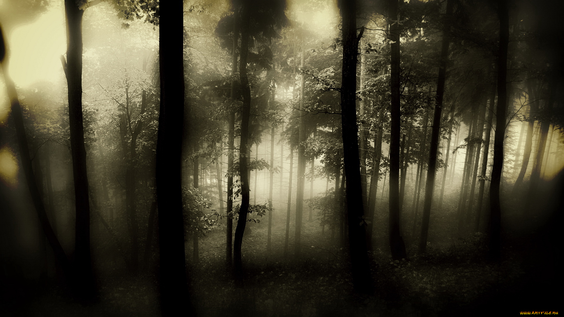 3д, графика, nature, landscape, природа