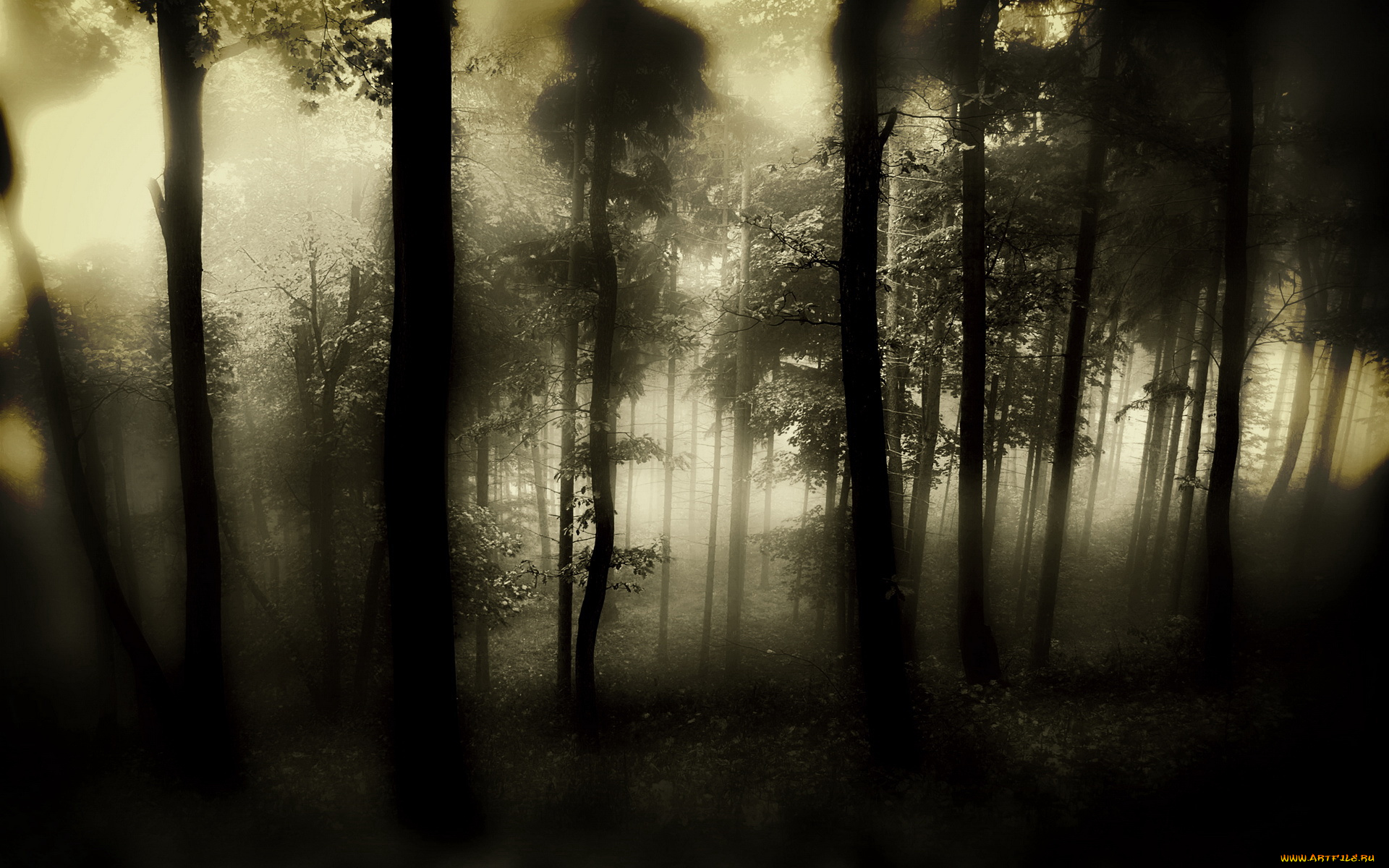 3д, графика, nature, landscape, природа