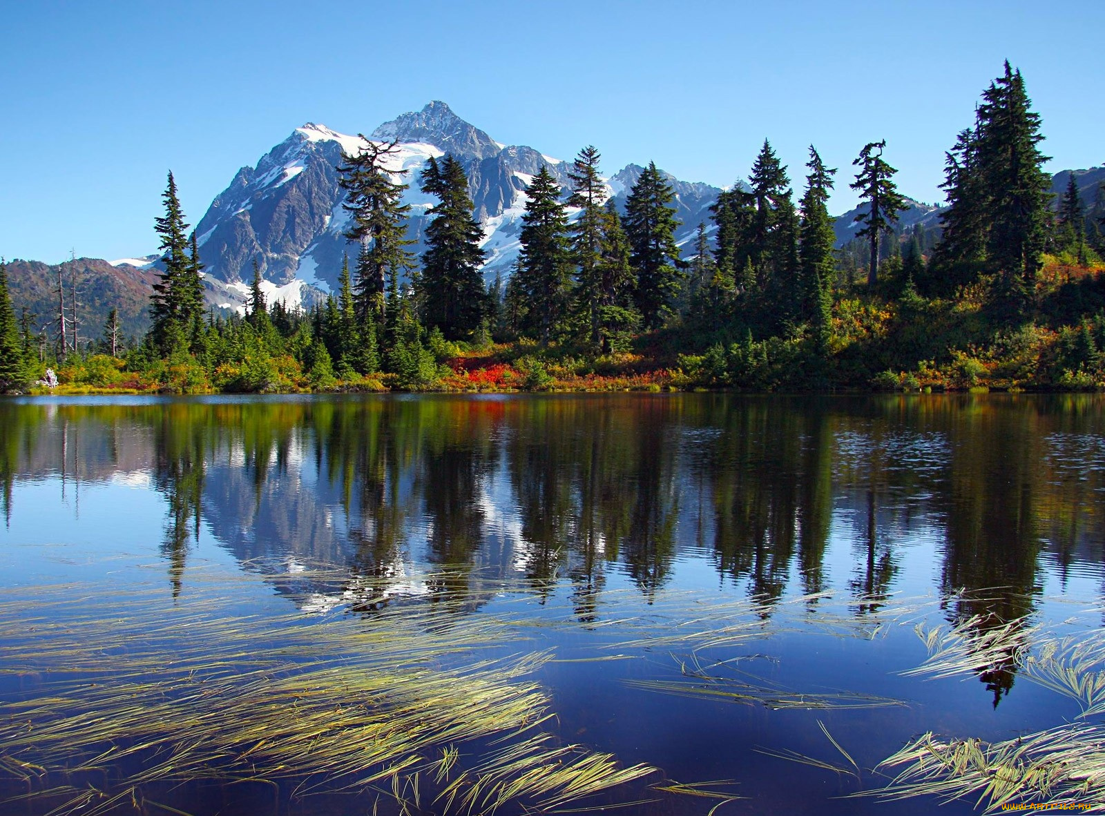 природа, реки, озера, деревья, вершина, озеро