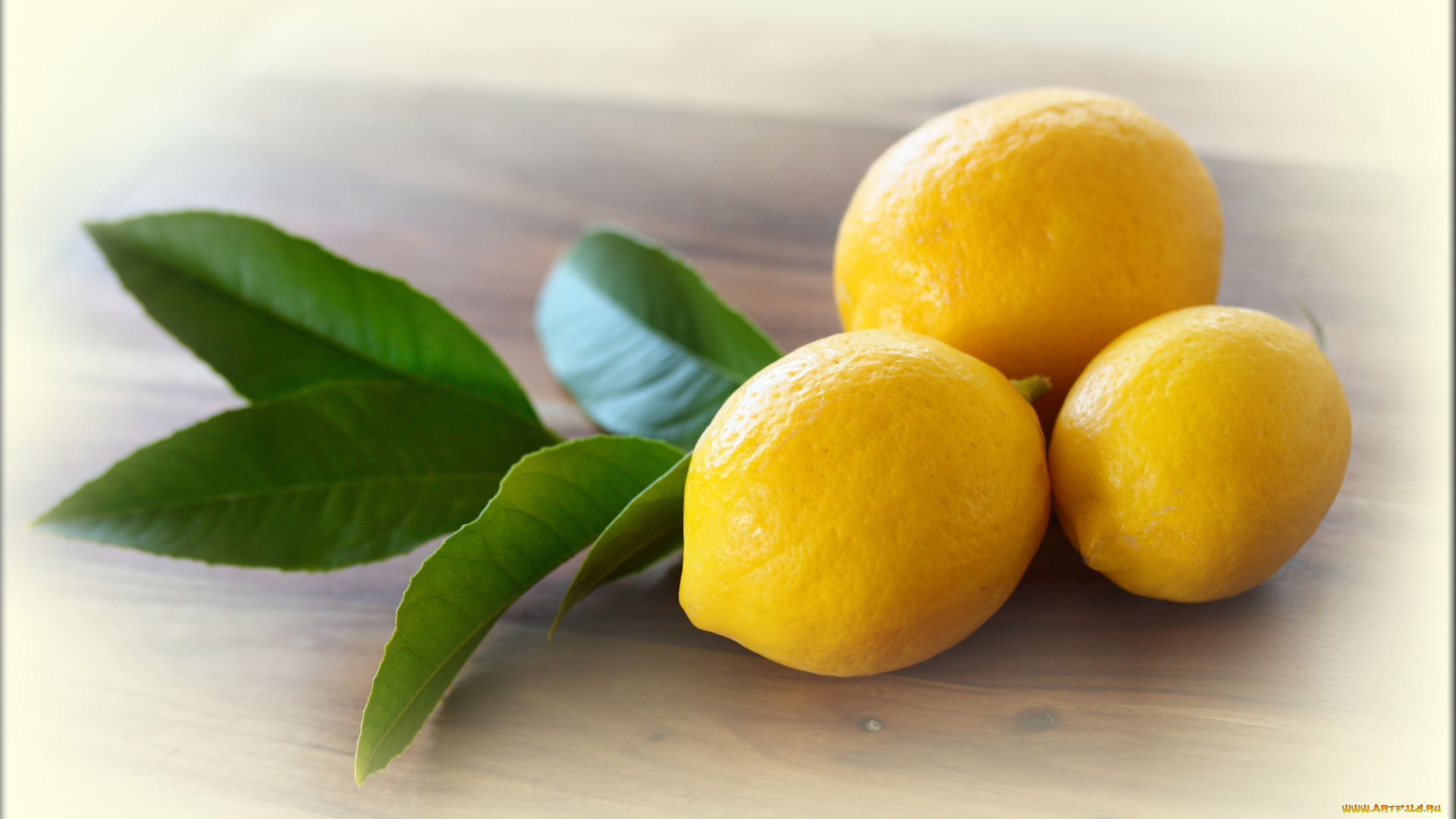 еда, цитрусы, листья