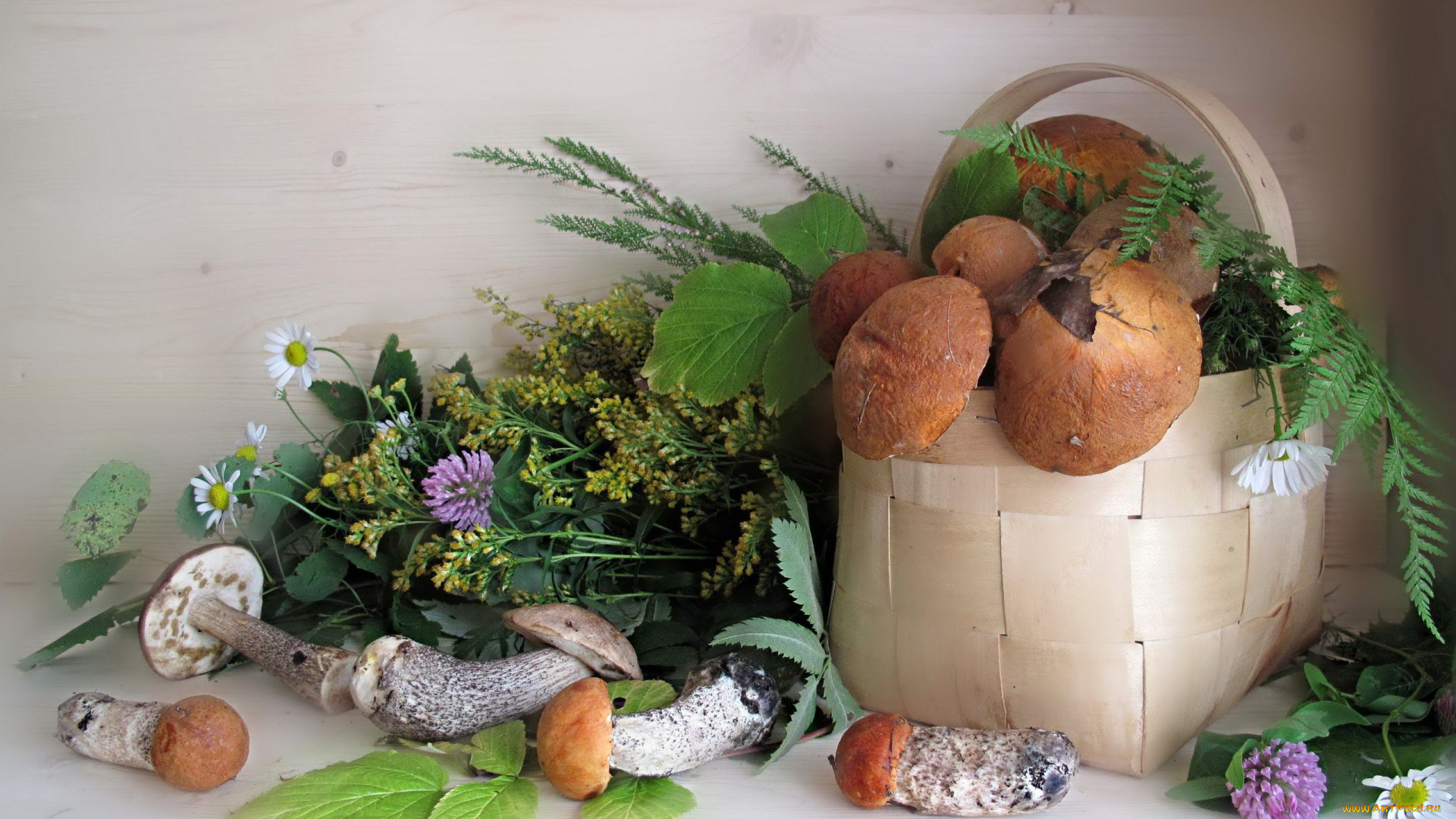 еда, грибы, грибные, блюда, туесок, полевые, цветы, подосиновики