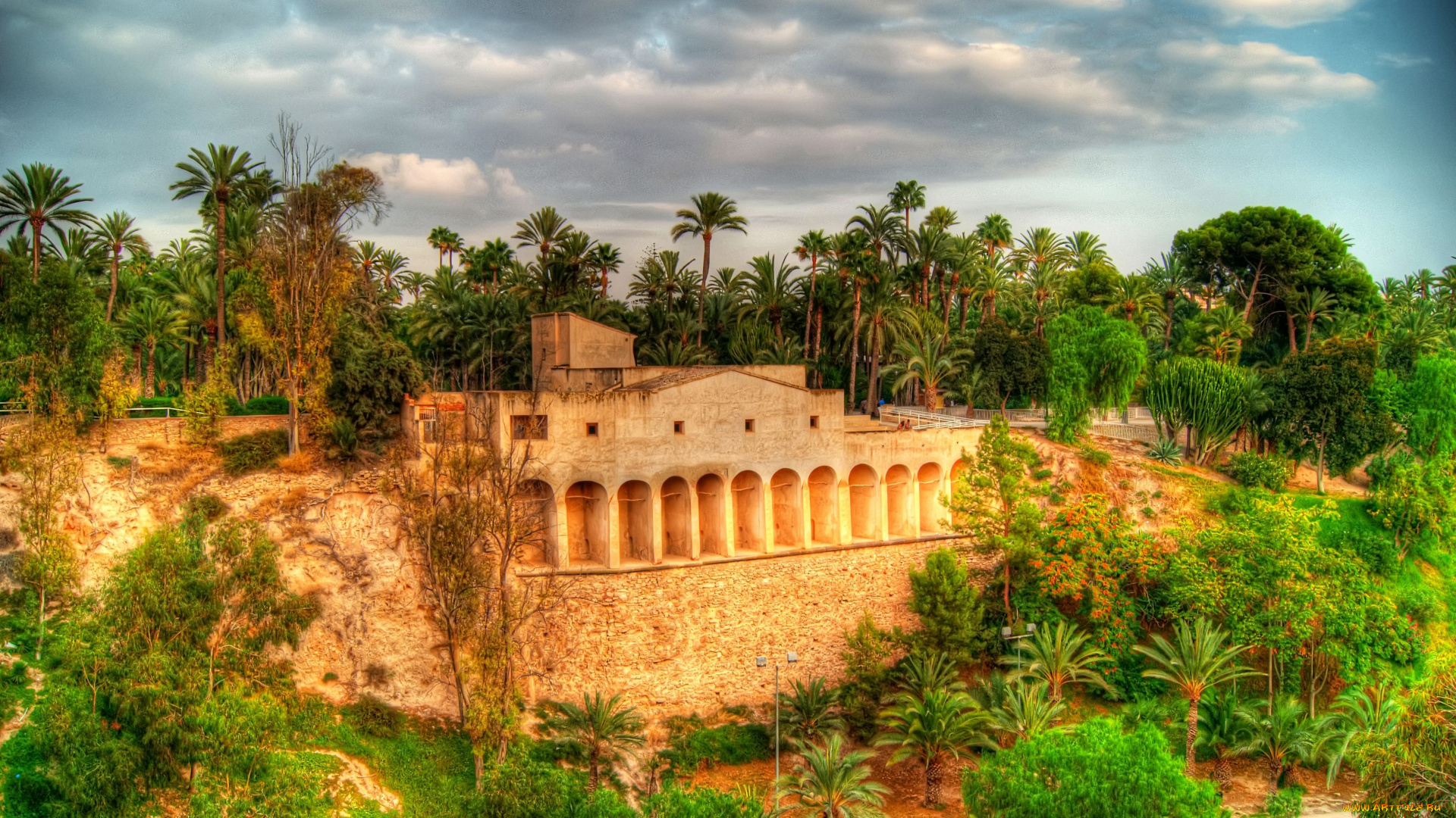 parc, municipal, природа, парк, испания, elche