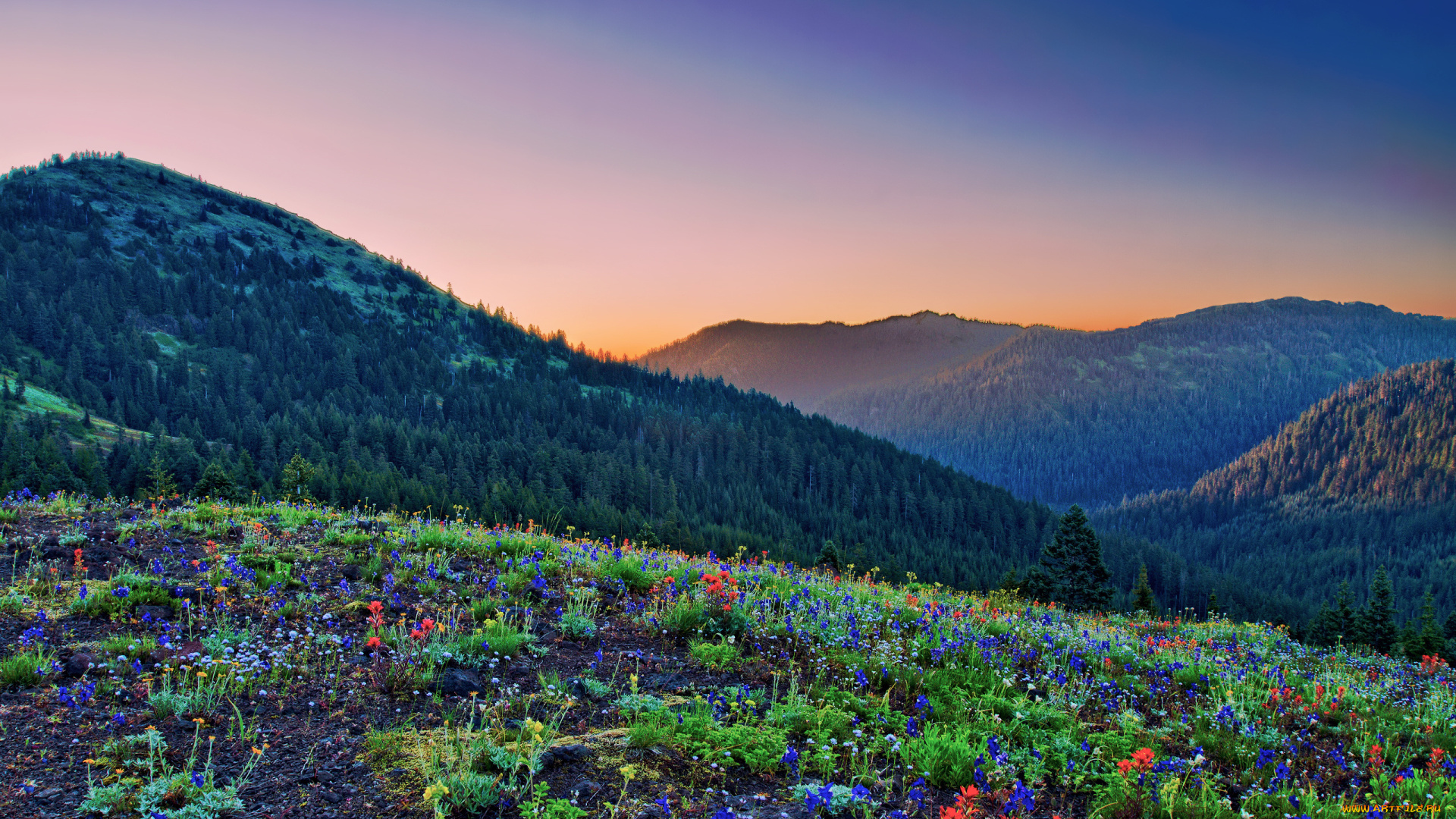природа, горы, пейзаж, леса, цветы