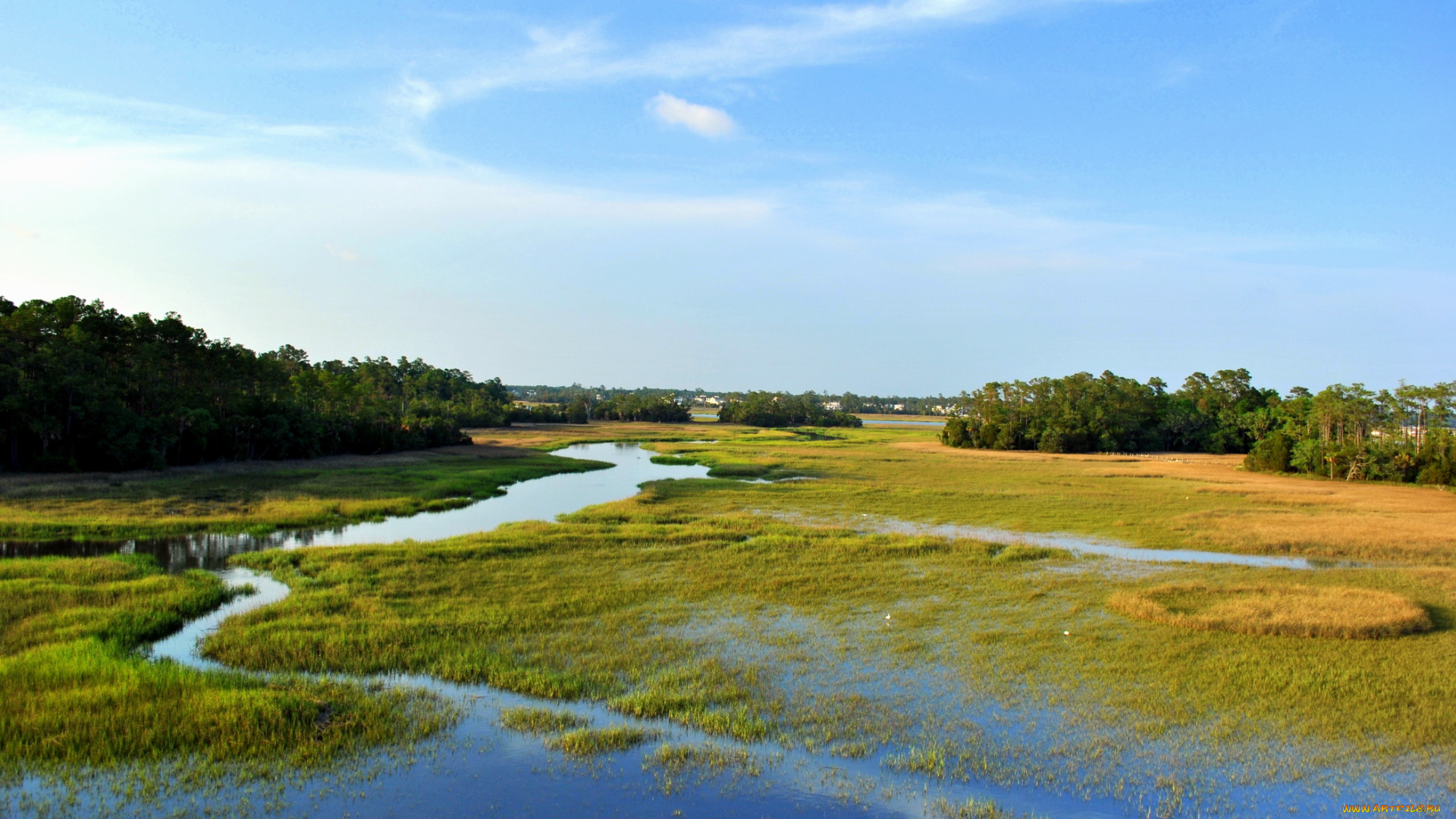 природа, реки, озера, charleston, usa, palmetto, islands, county, park