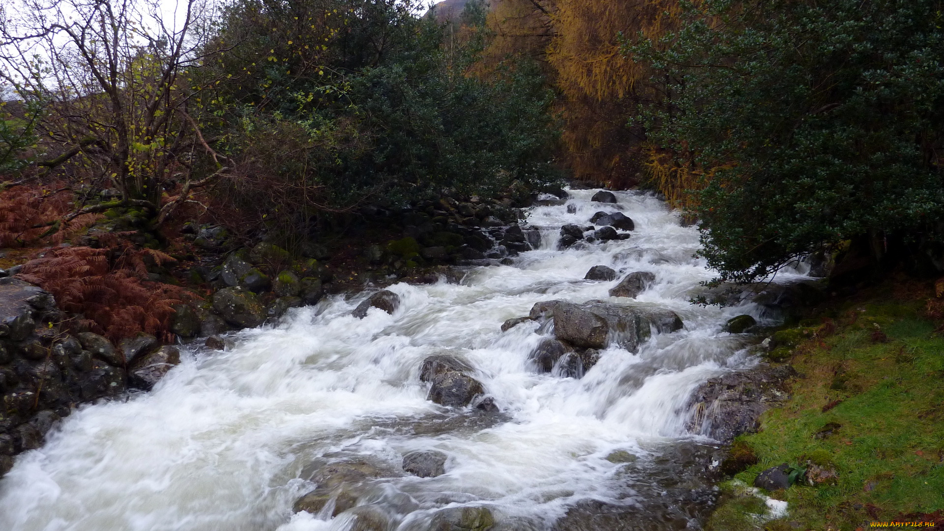 природа, реки, озера, cumbria, england, the, lake, district, national, park