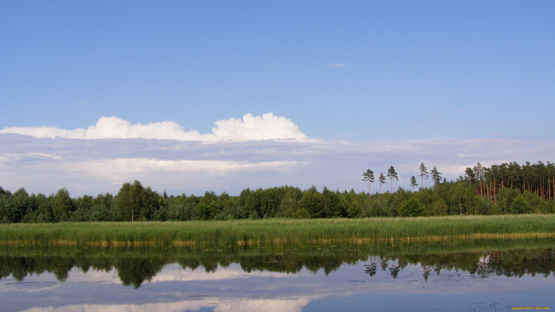 природа, реки, озера, лес, облака, река, отражение