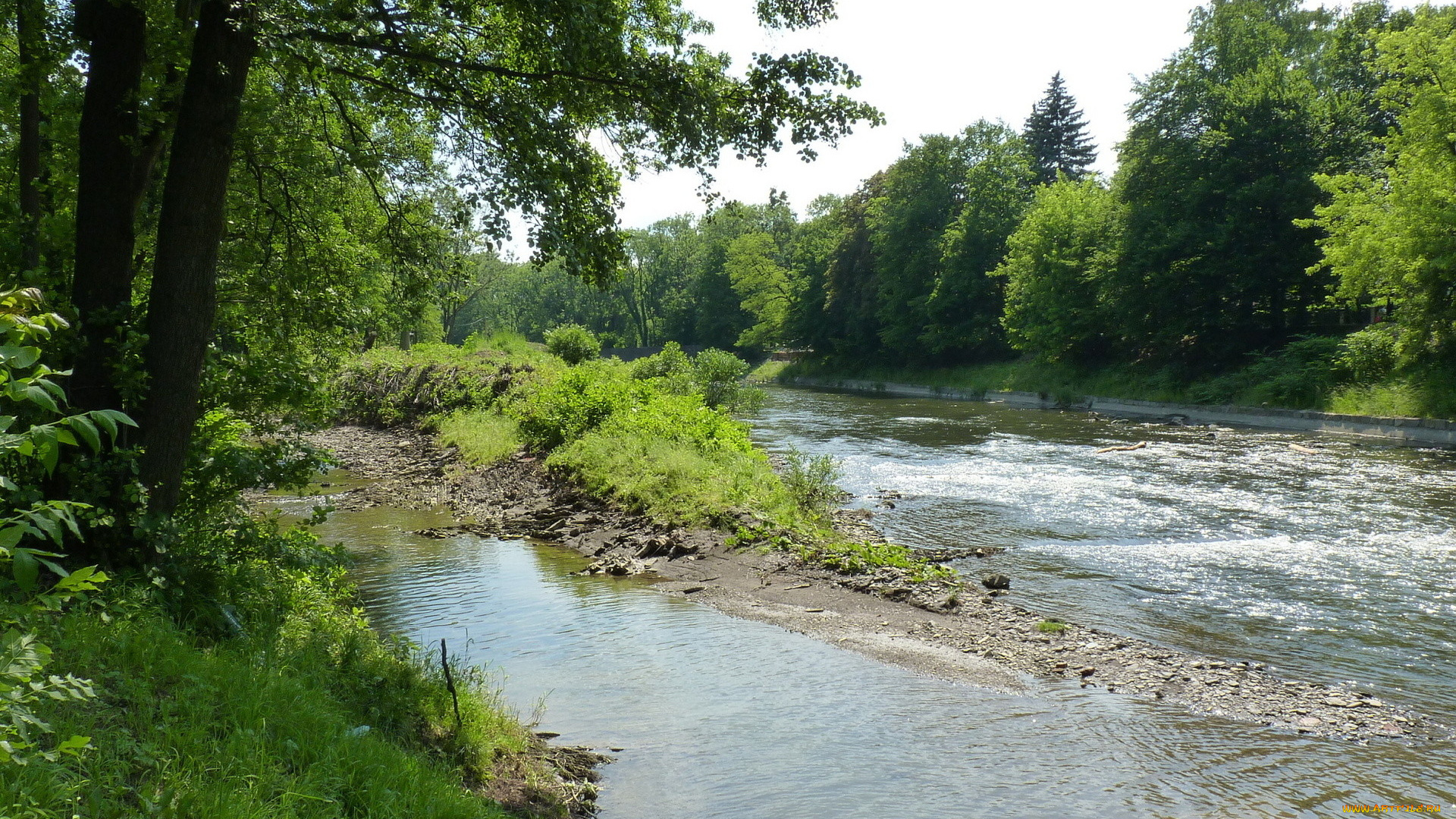 природа, реки, озера, поток, деревья, река