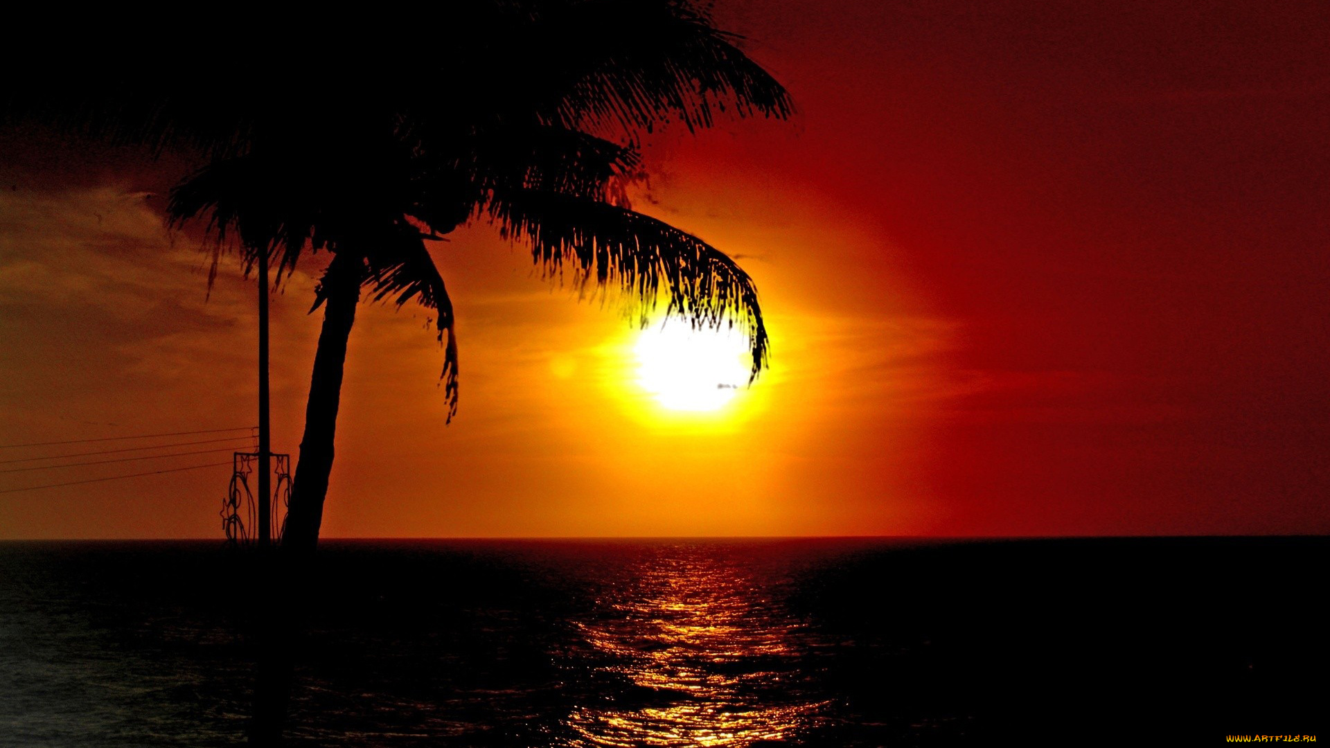 природа, восходы, закаты, закат, море, пальма