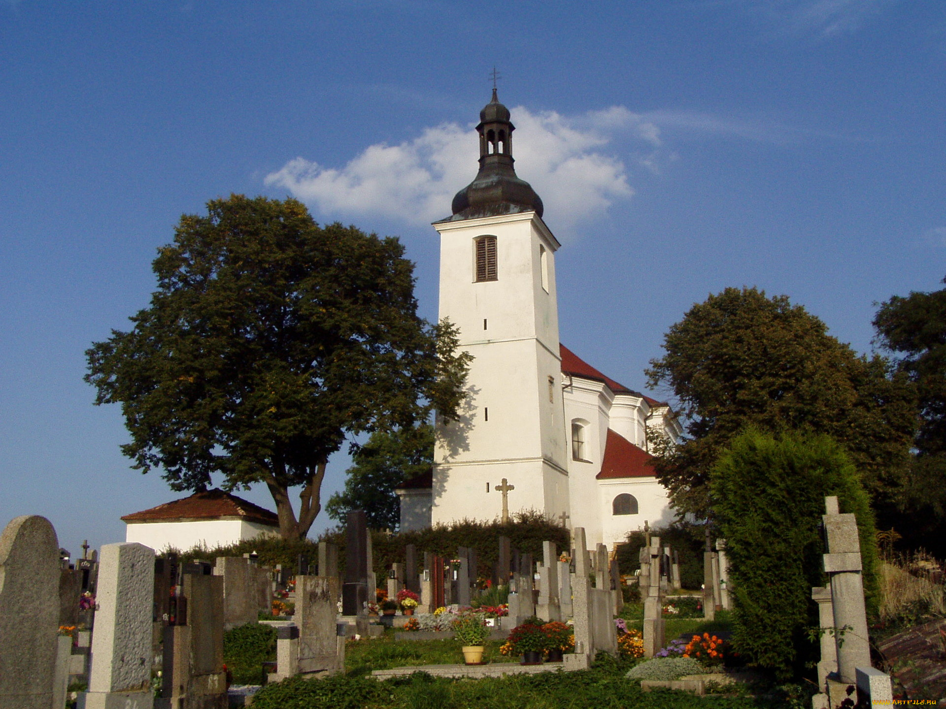 города, католические, соборы, костелы, аббатства, кладбище, костел, памятники