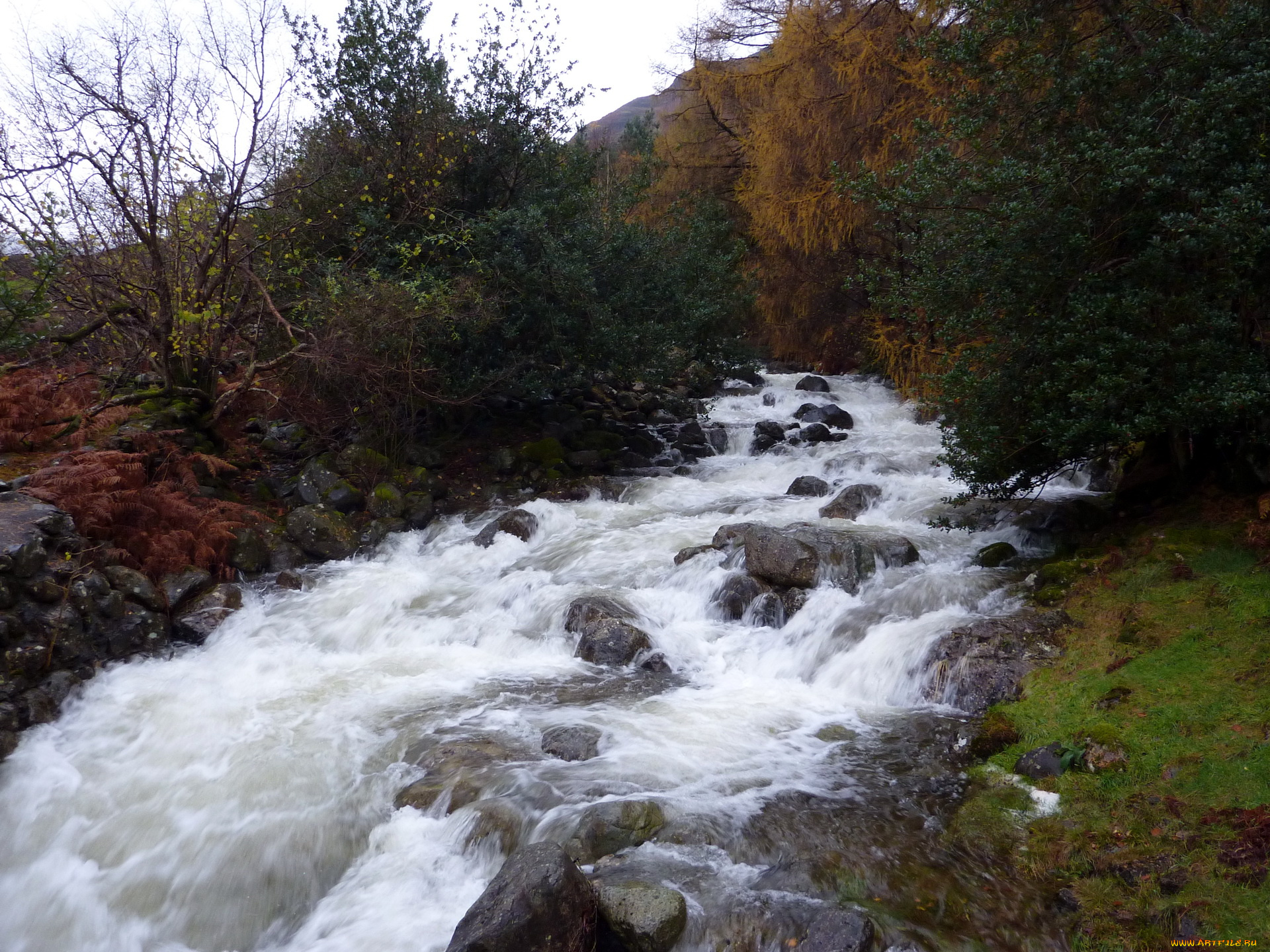 природа, реки, озера, cumbria, england, the, lake, district, national, park