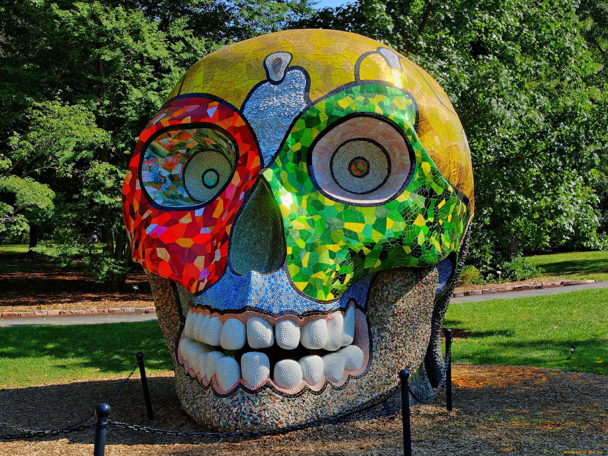 природа, парк, ботанический, миссури