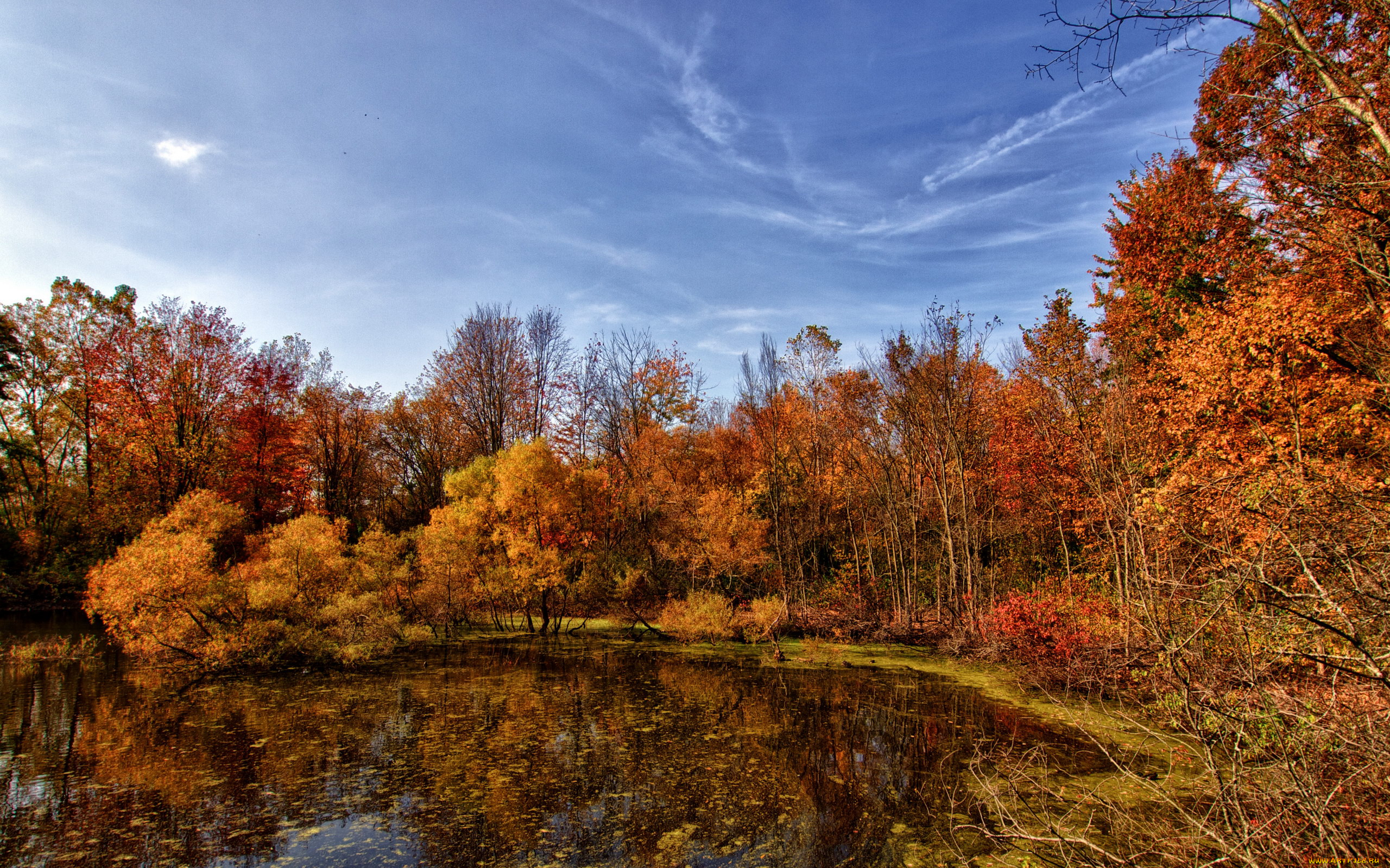 природа, лес, осень, багрянец, пруд