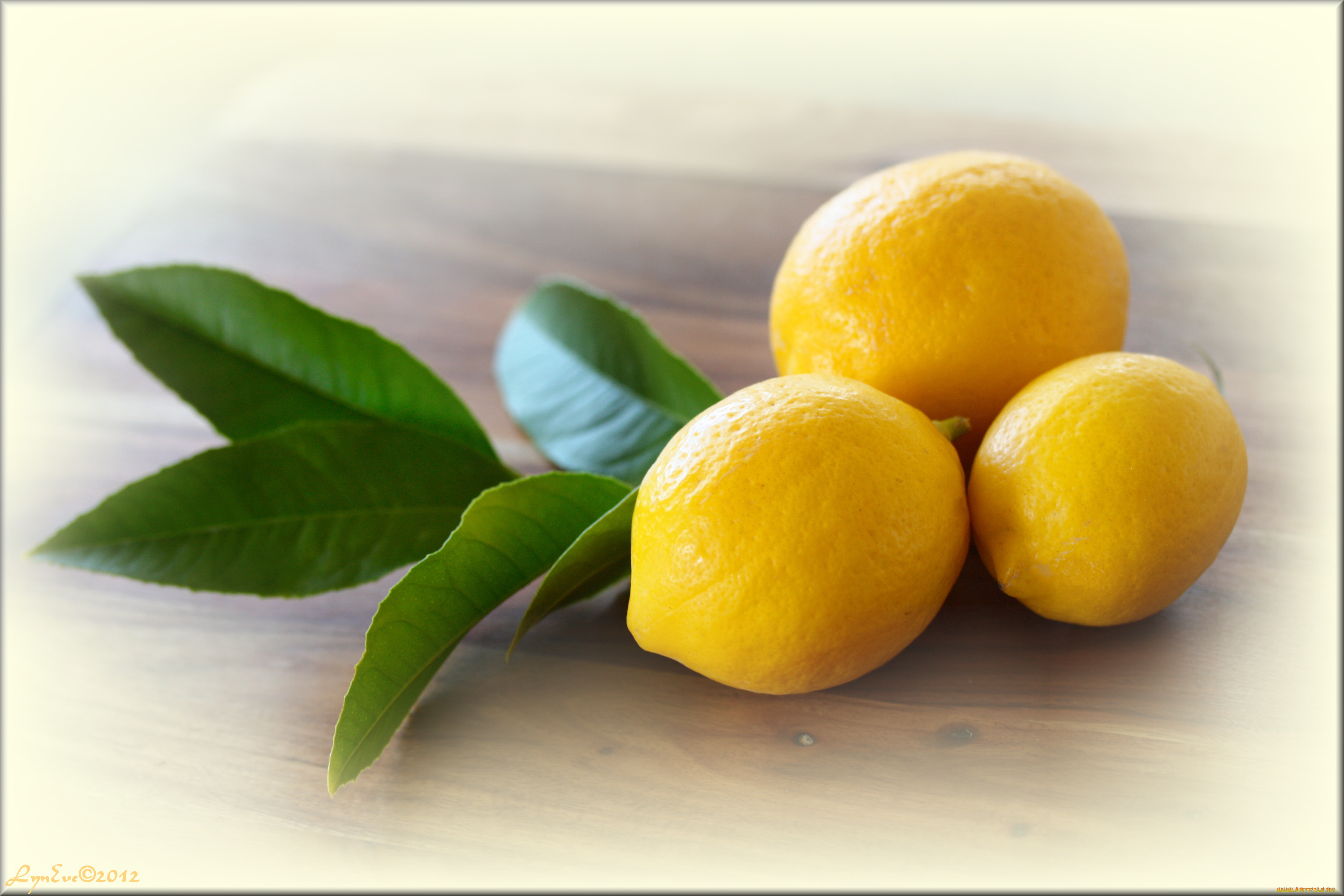 еда, цитрусы, листья