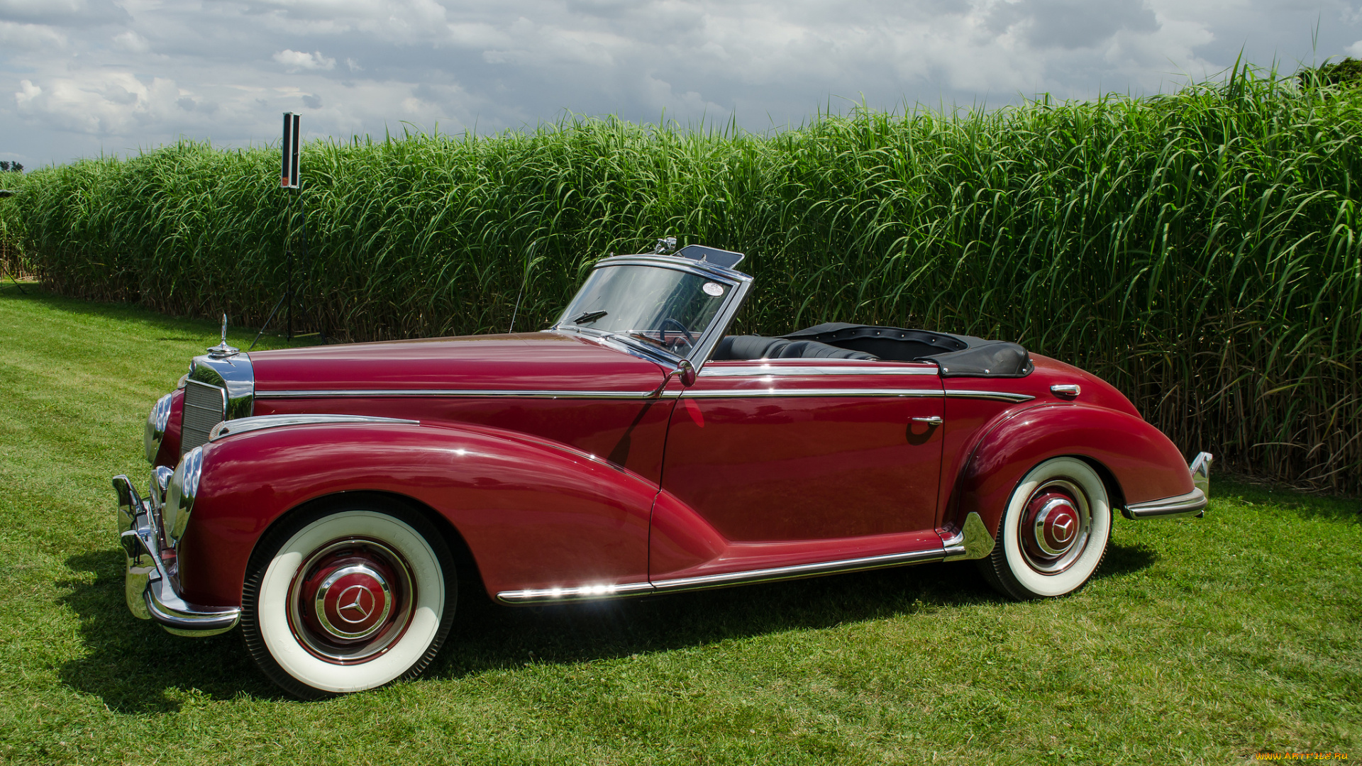 mercedes-benz, 170, s, cabriolet, автомобили, выставки, и, уличные, фото, выставка, автошоу, ретро, история